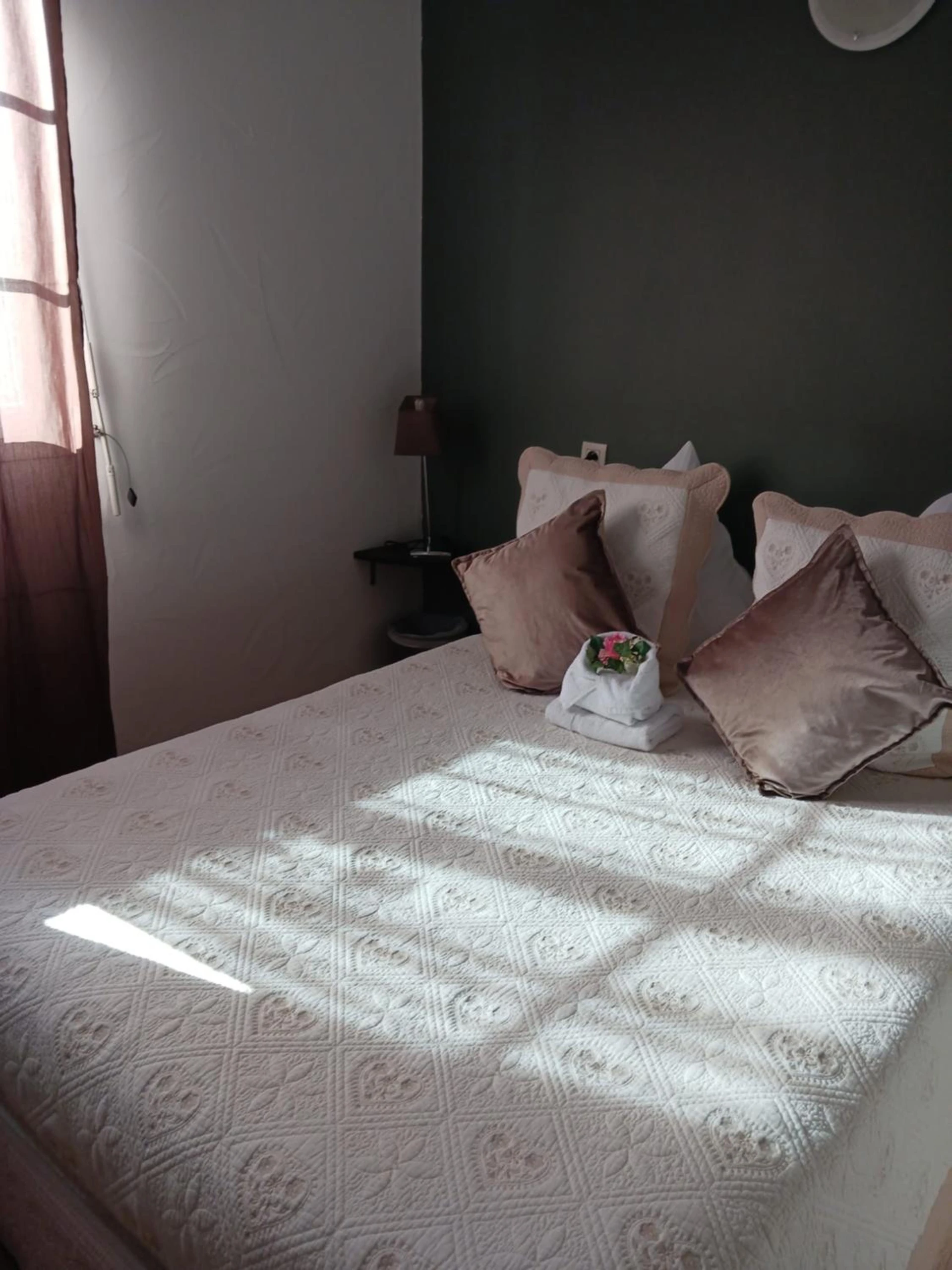 Chambre disponible pour un séminaire d'entreprise à Hotel Du Lac - Château-Arnoux-Saint-Auban