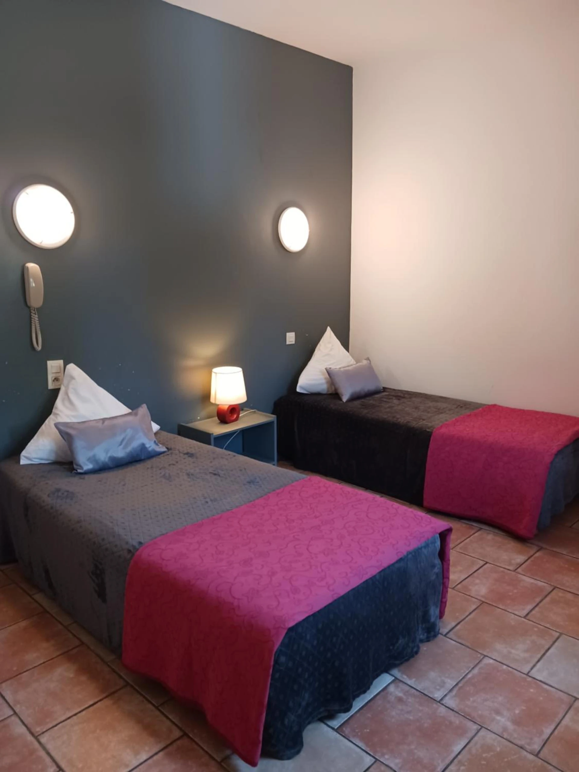 Chambre disponible pour un séminaire d'entreprise à Hotel Du Lac - Château-Arnoux-Saint-Auban