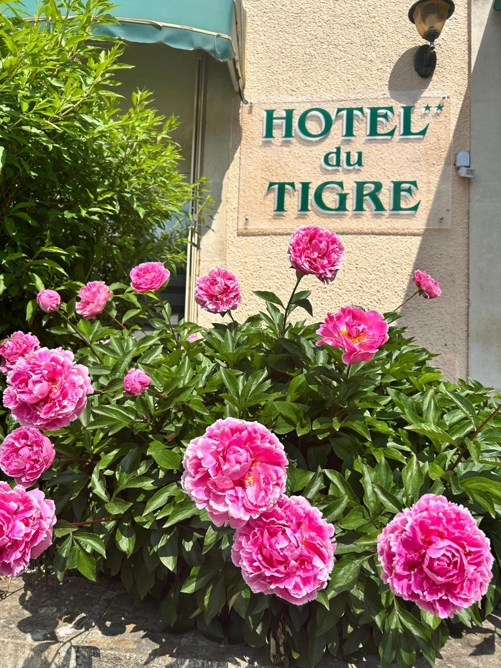 Organiser un séminaire d'entreprise : Cit'Hotel du Tigre à verdun