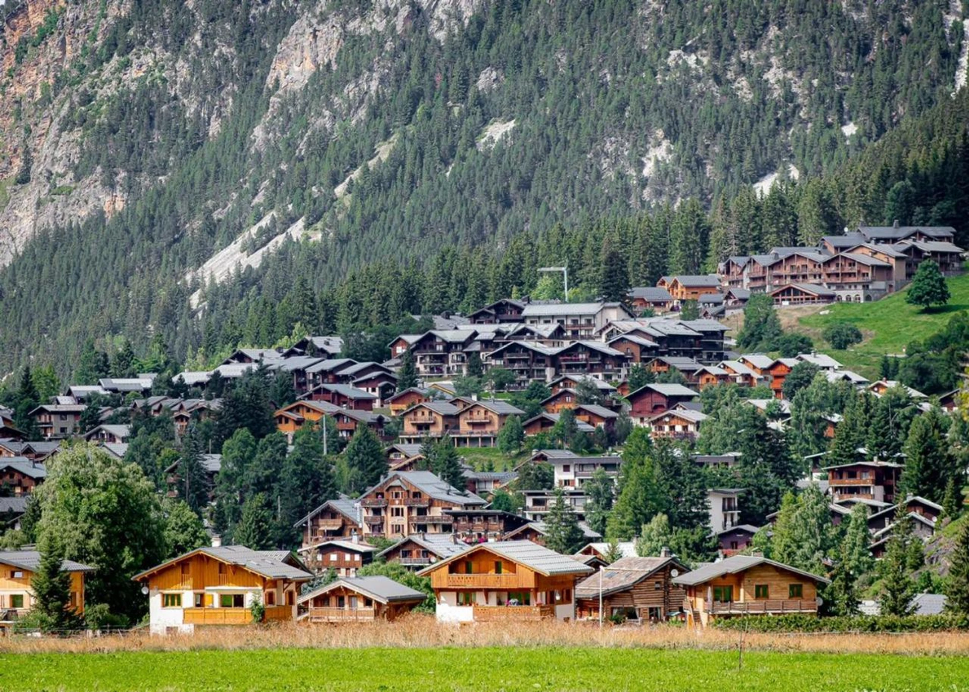 Organiser un séminaire d'entreprise : Hotel L'Edelweiss à pralognan-la-vanoise