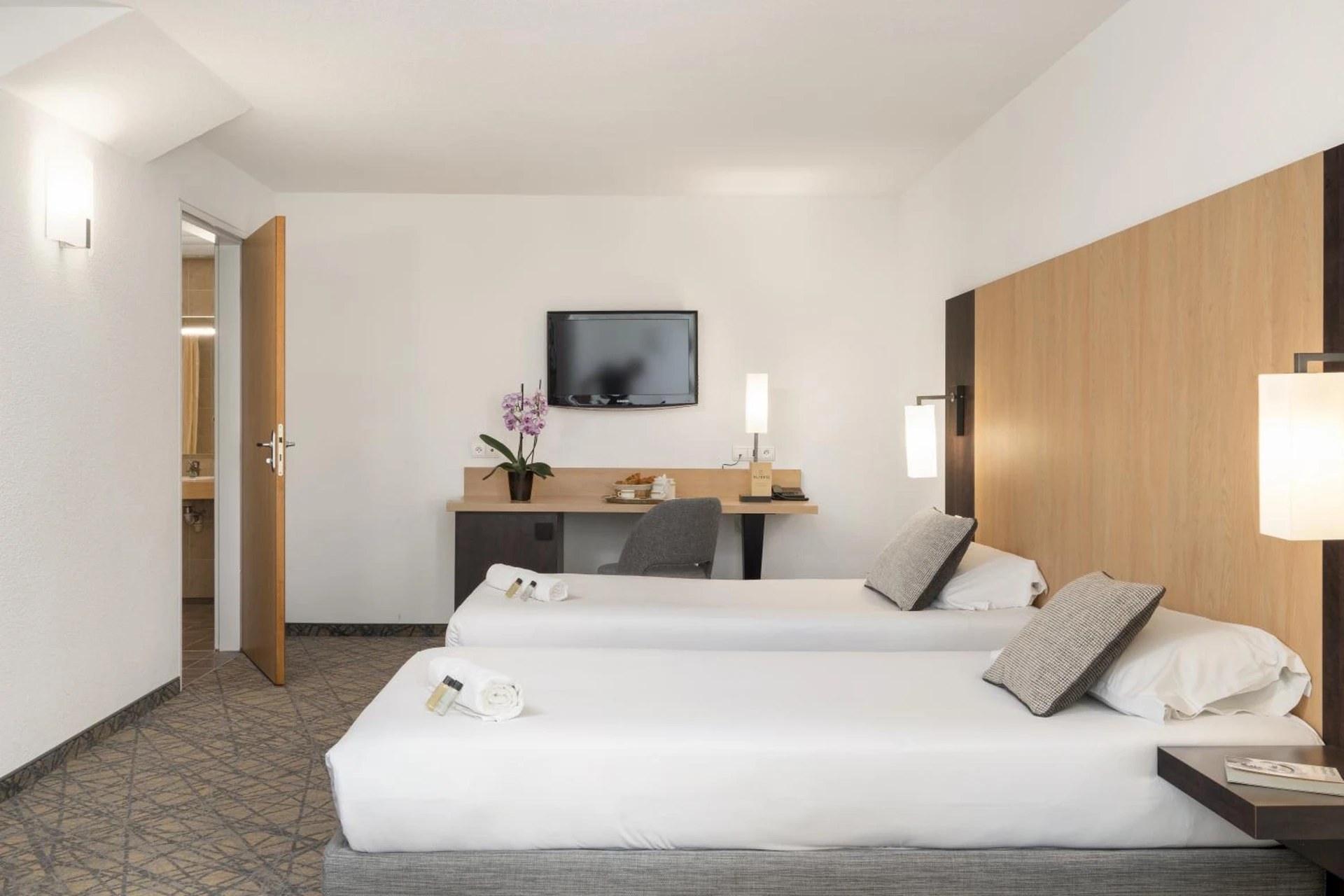 Magnifique chambre pour un séminaire d'entreprise à Hôtel Eliseo - Lourdes