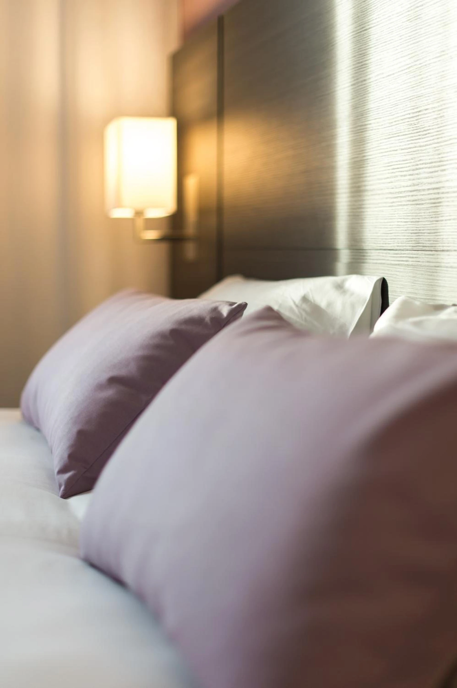 Organiser un séminaire d'entreprise : Hotel Eurocentre 3* Toulouse Nord à castelnau-d-estretefonds