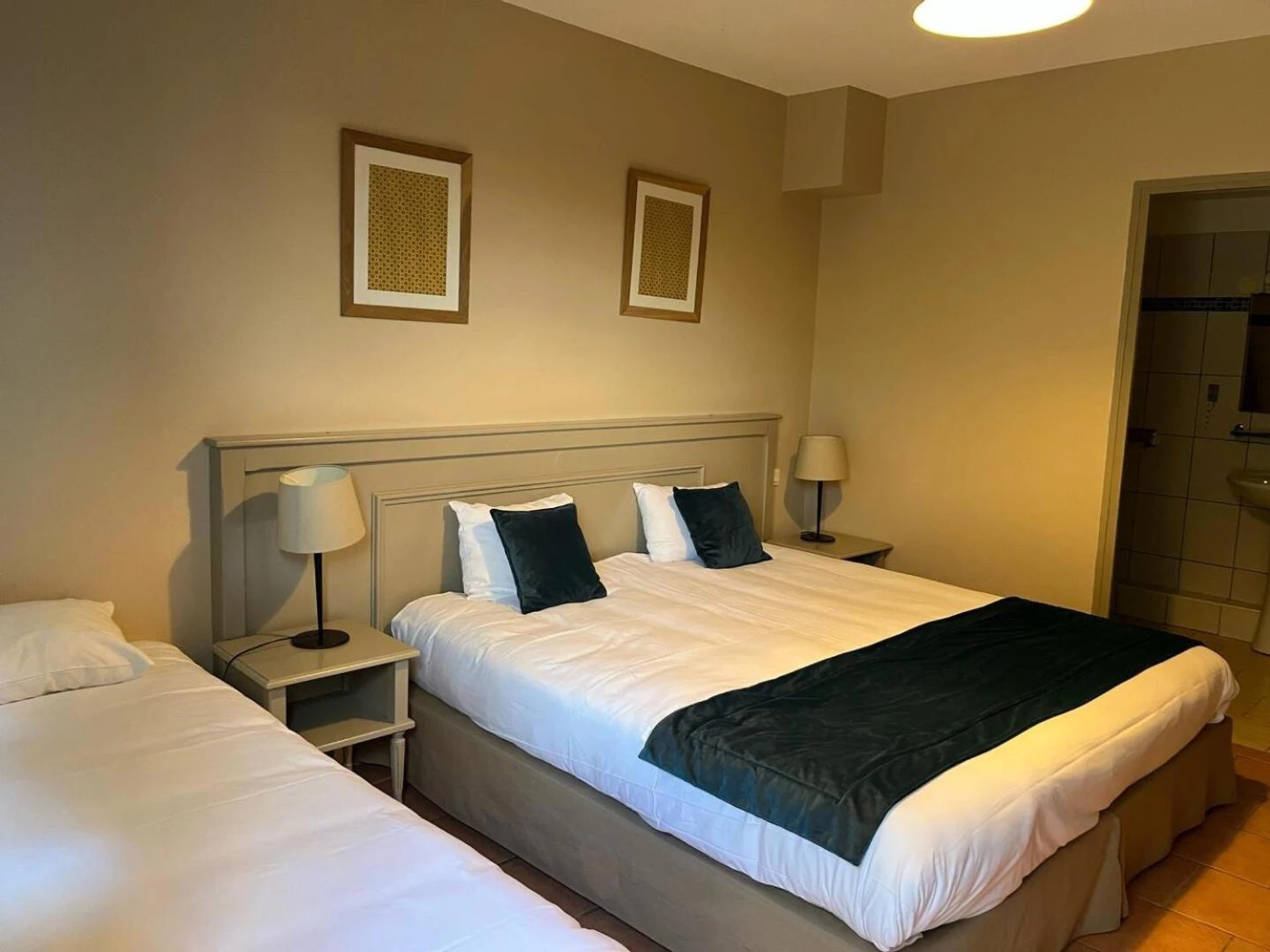 Chambre à Appart'Hotel Festival Sud Aqua - Avignon TGV - Organiser un séminaire d'entreprise à Avignon