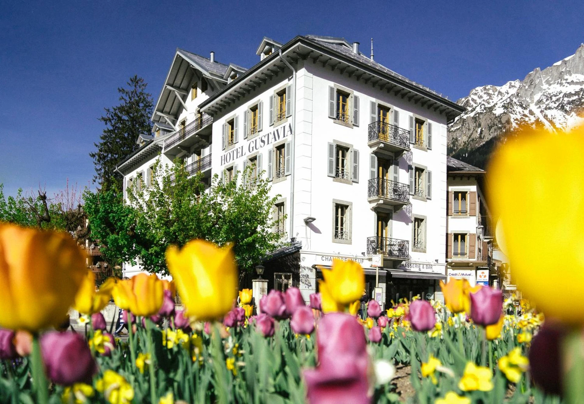 Lieu convivial pour un séminaire d'entreprise à Langley Hotel Gustavia - Chamonix-Mont-Blanc - En savoir plus 