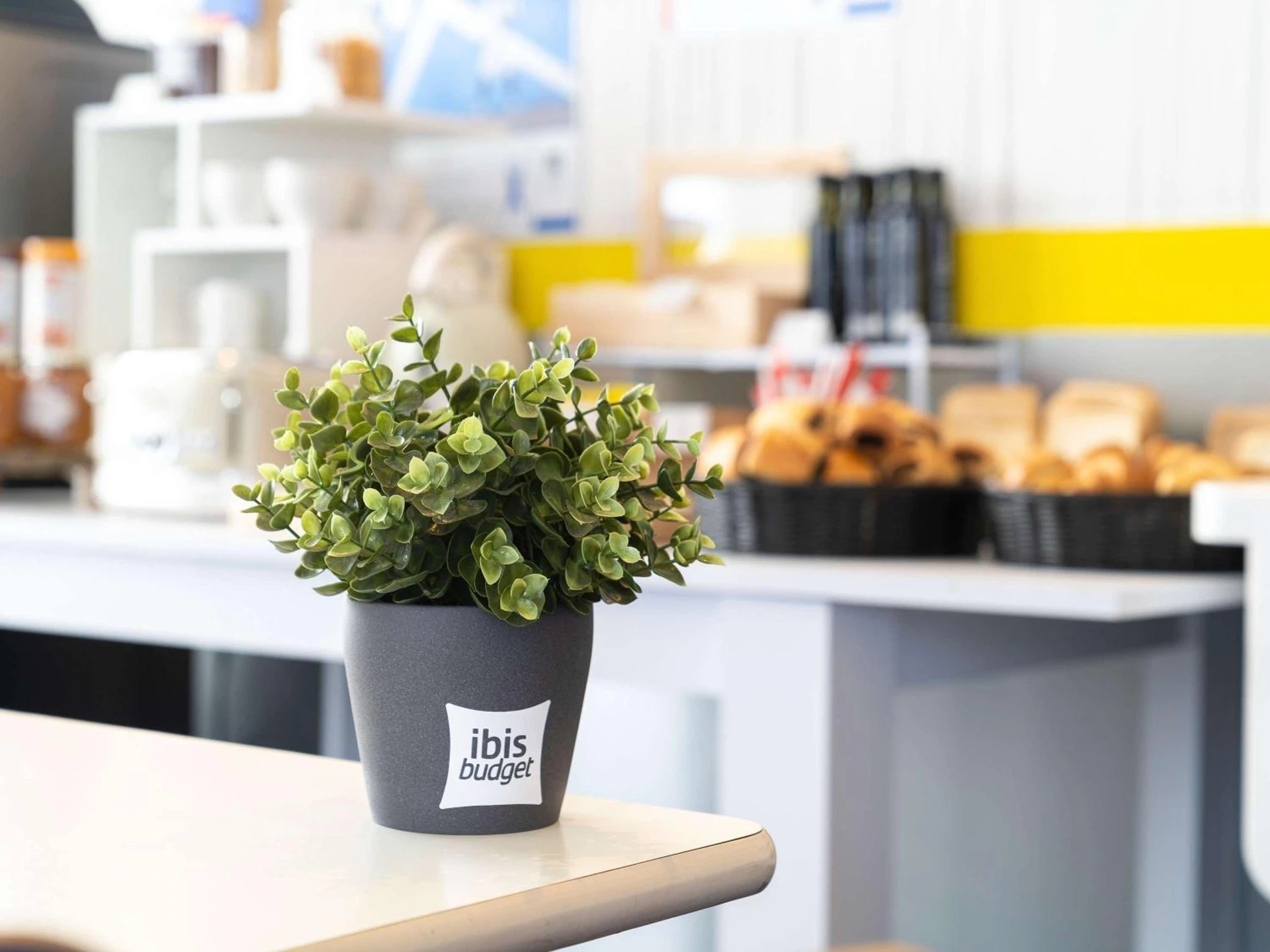 Organiser un séminaire d'entreprise : ibis budget Saint Lô à saint-lo