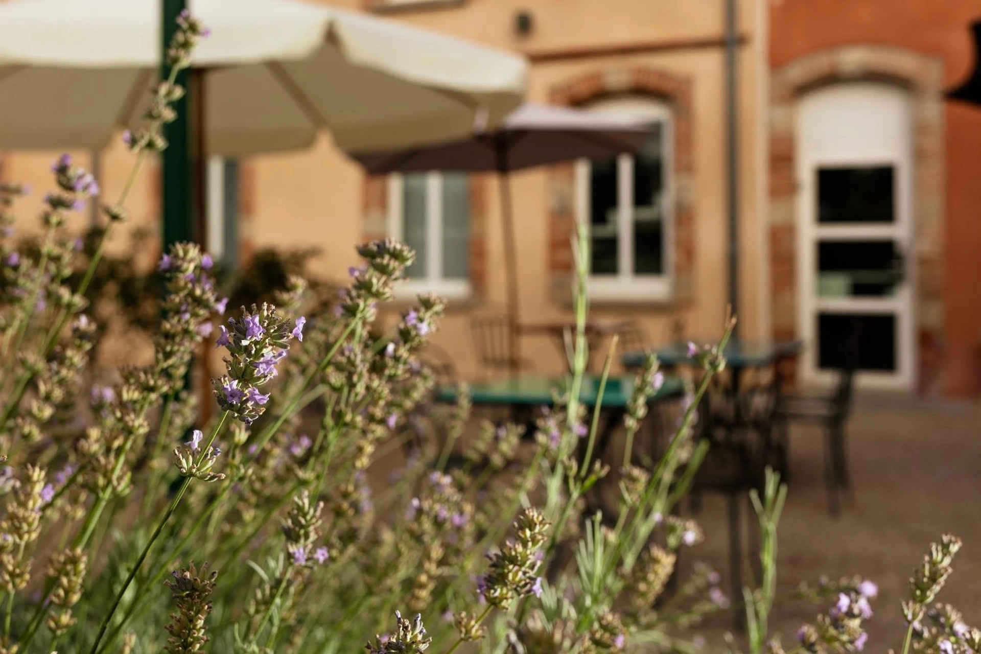 Organiser un séminaire d'entreprise : ibis Styles Toulouse Lavaur à lavaur