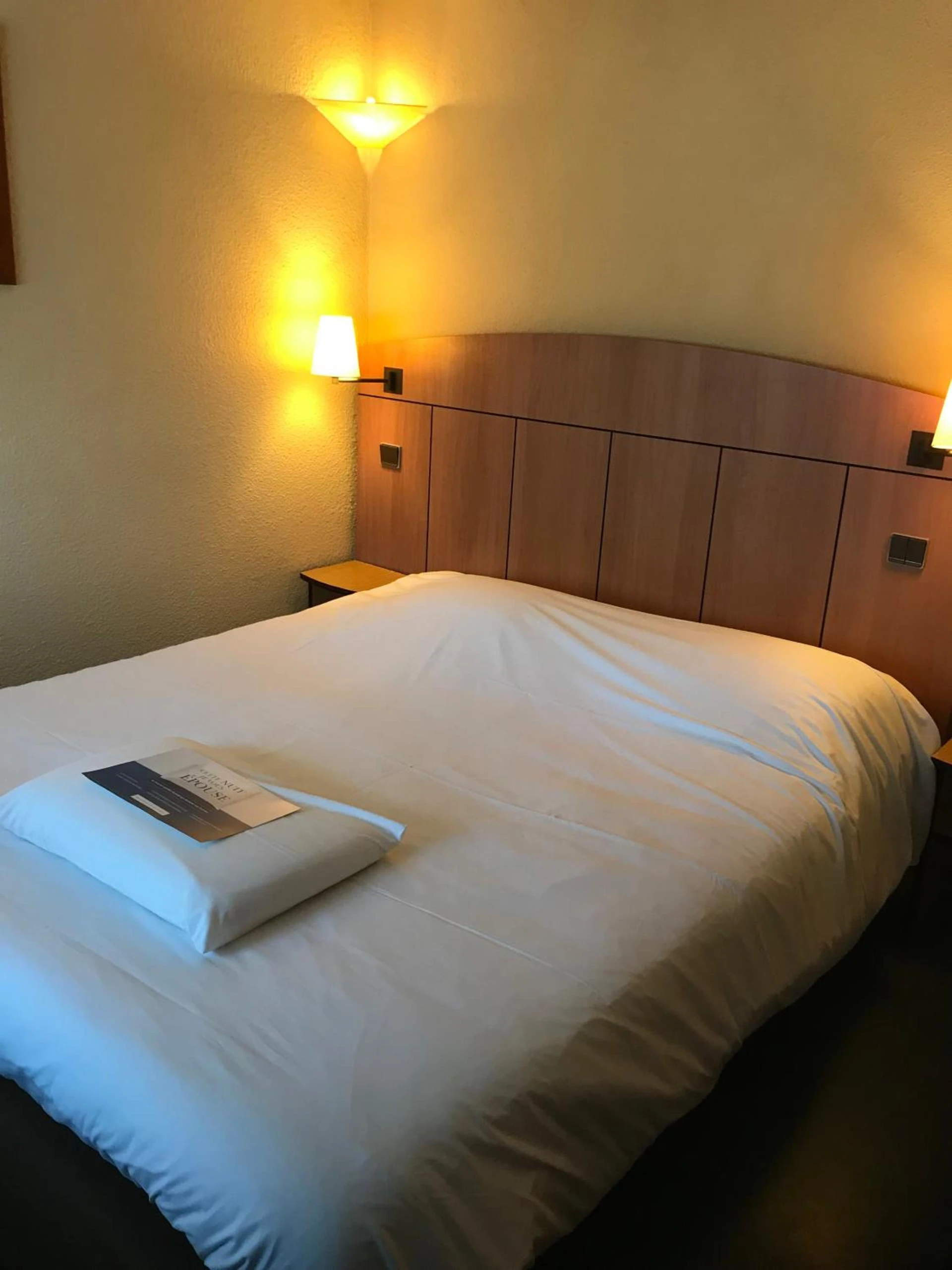 Chambre disponible pour un séminaire d'entreprise à Kyriad Tarbes Odos - Odos