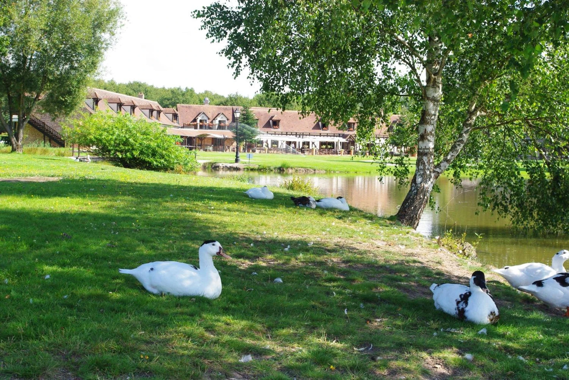Organiser un séminaire d'entreprise : L'Orée des Chênes, The Originals Relais à la-ferte-saint-aubin
