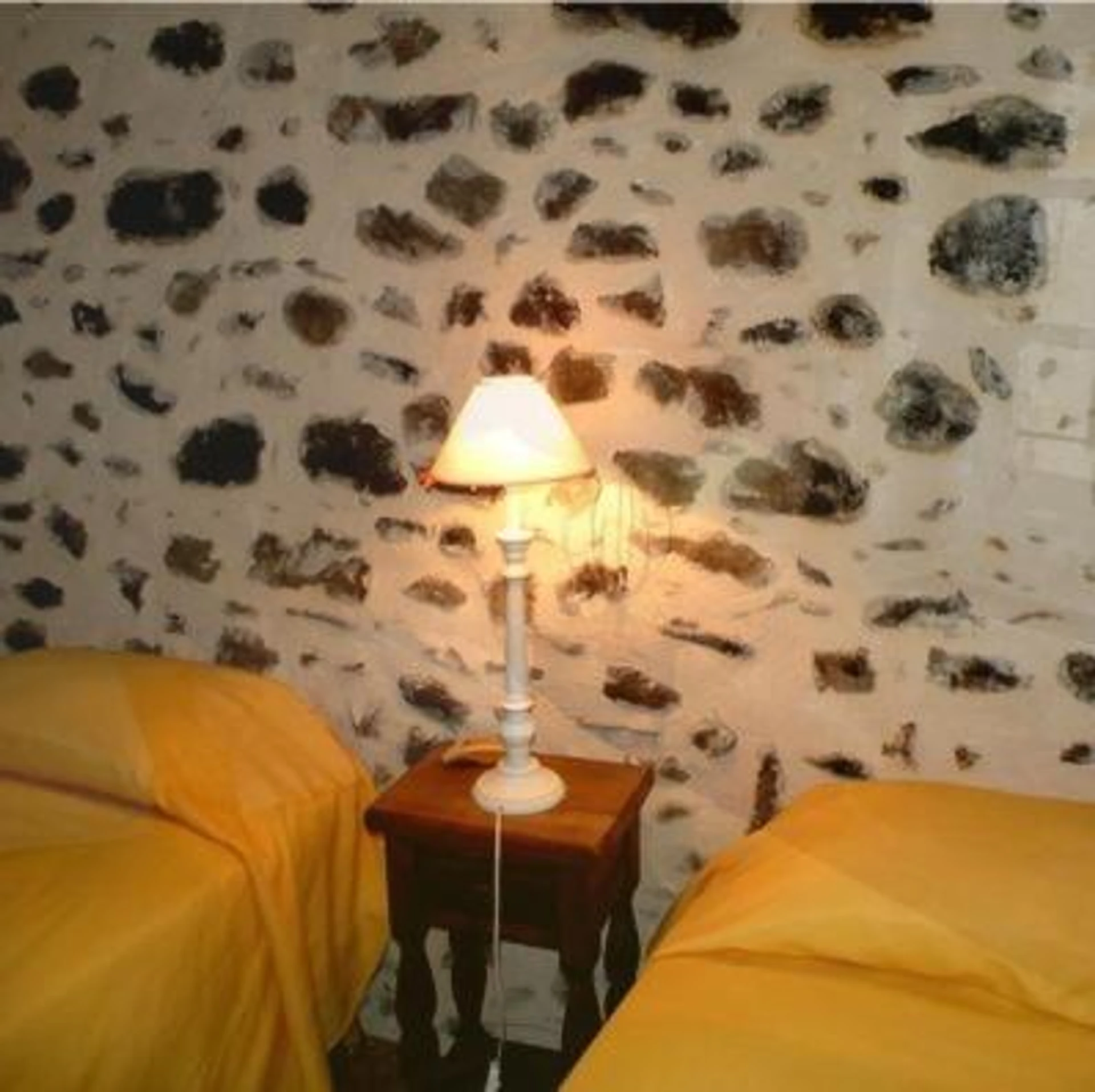 Chambre disponible pour un séminaire d'entreprise à Hotel l'Oronge - Saint-Jean-du-Gard