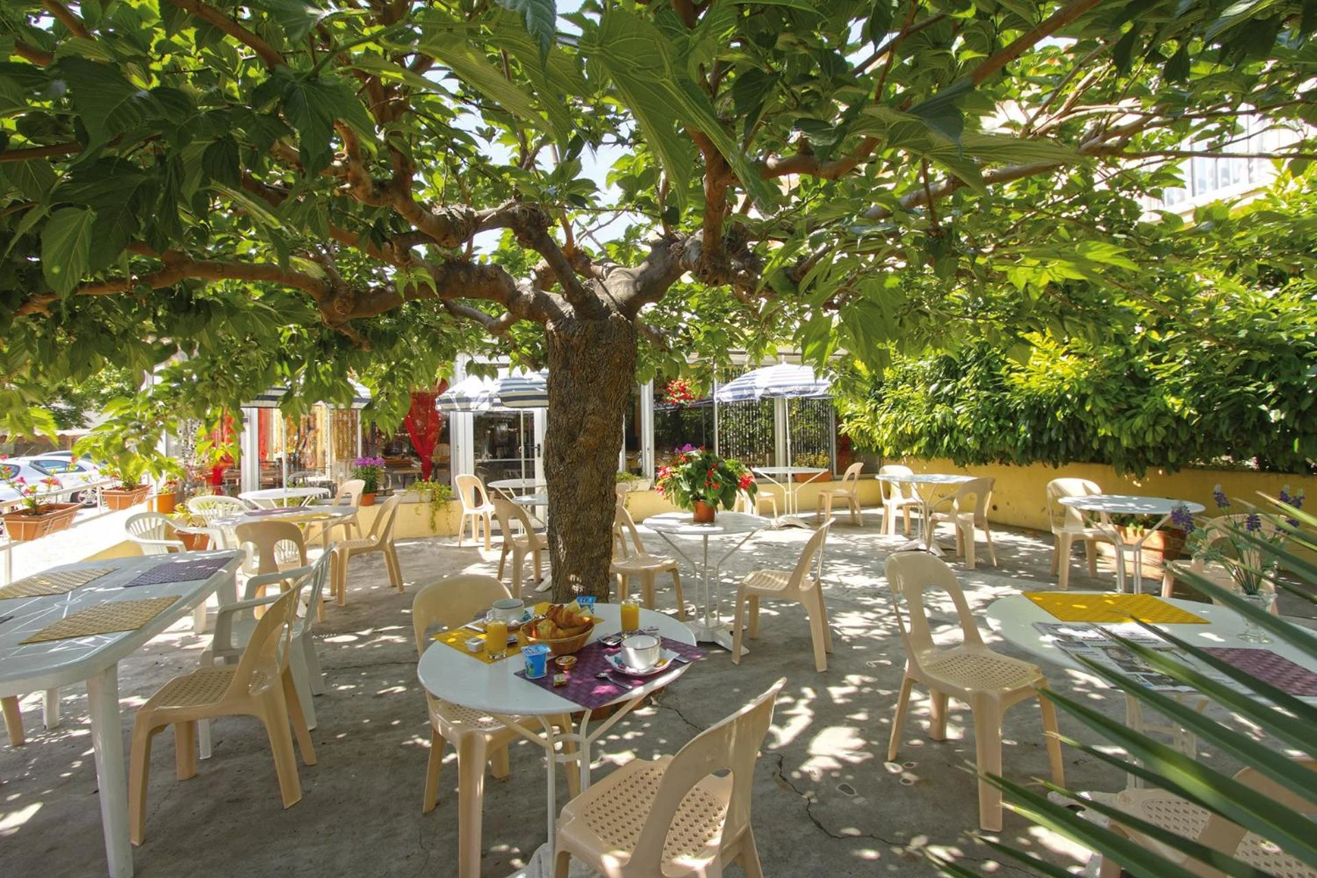 Organiser un séminaire d'entreprise : Hôtel La Croix de Malte à la-ciotat