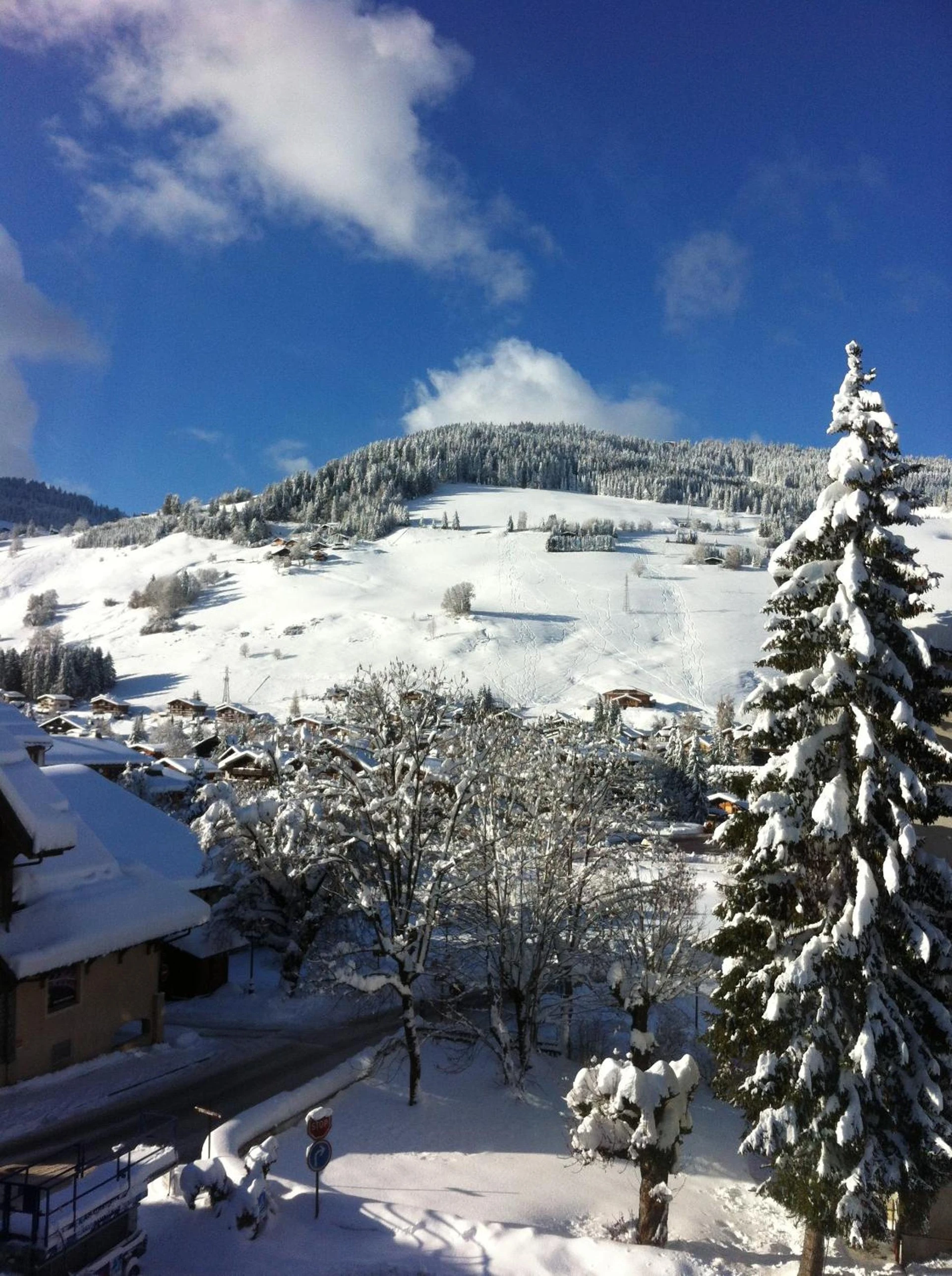 Lieu convivial pour un séminaire d'entreprise à Hôtel La Grange d'Arly - Megève - En savoir plus 
