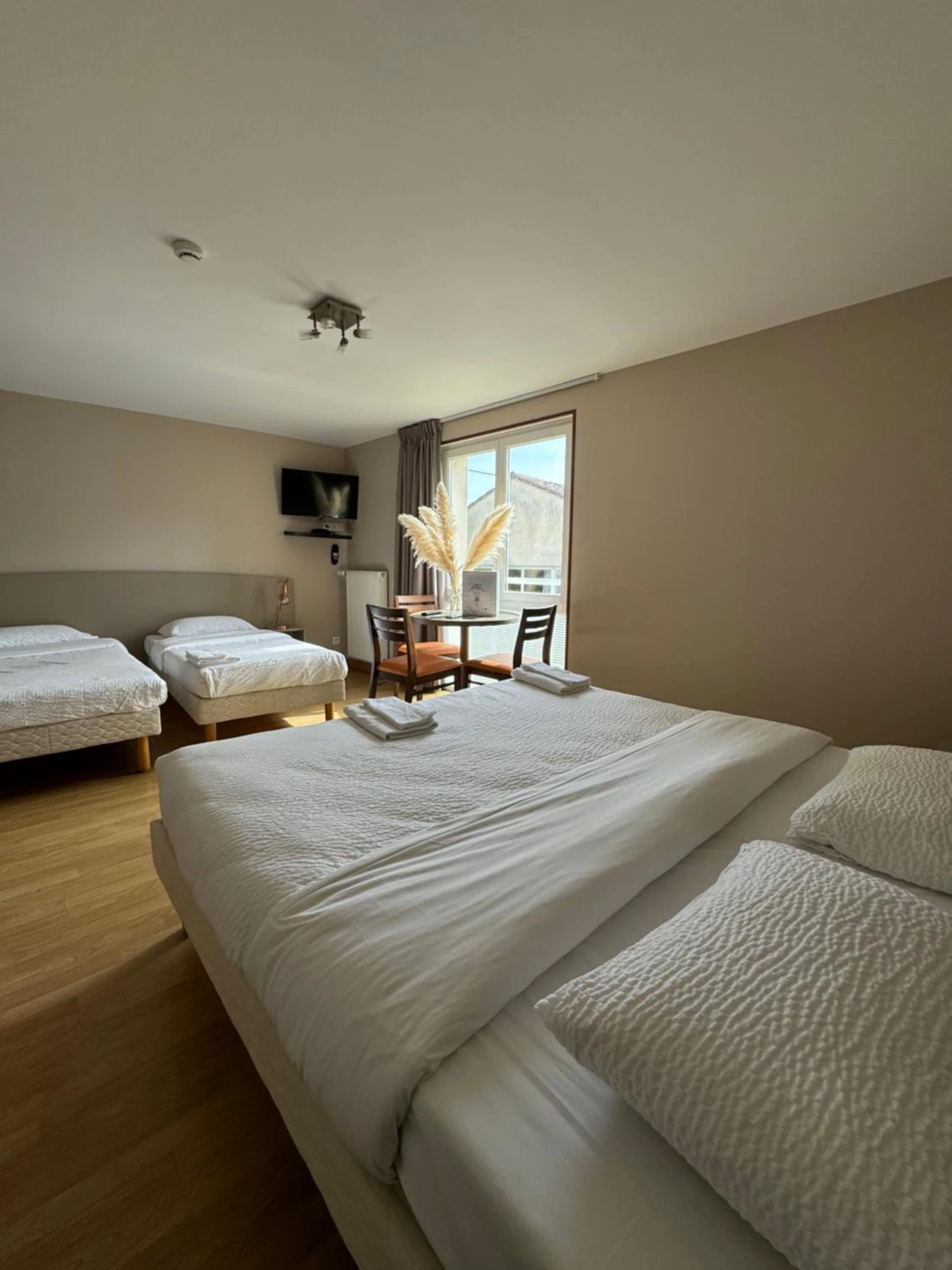 Chambre disponible pour un séminaire d'entreprise à Contact Hôtel La Métairie - Cordes-sur-Ciel