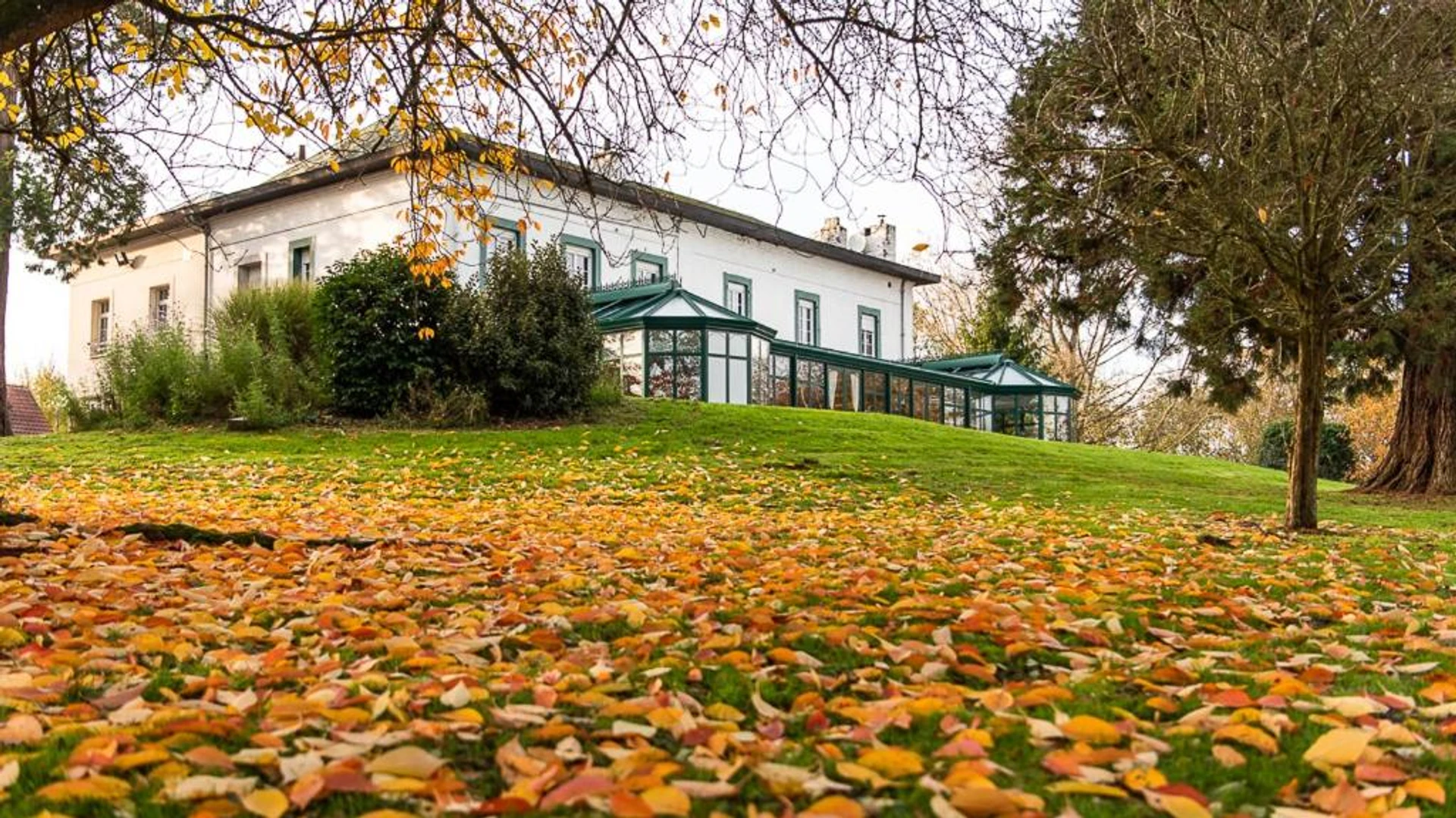 Organiser un séminaire d'entreprise : Logis - Hotel Restaurant La Sapinière à wisques