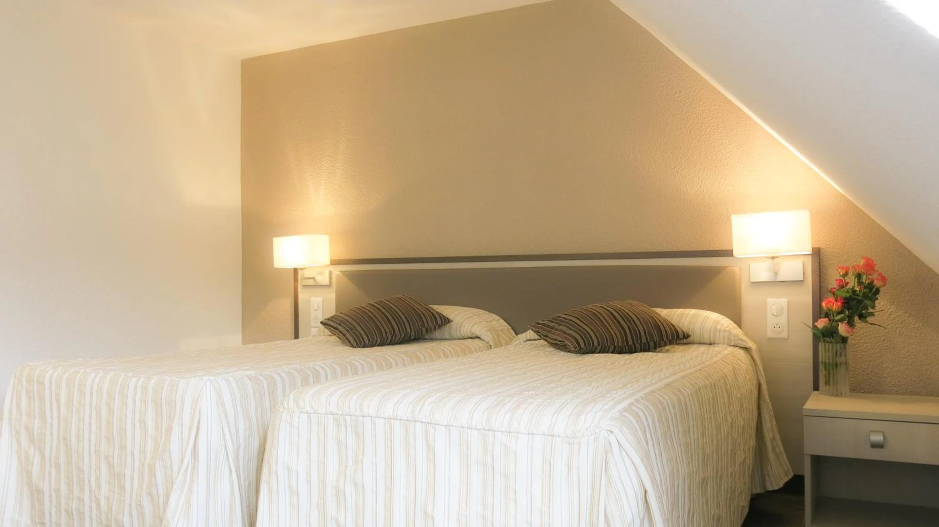 Chambre disponible pour un séminaire d'entreprise à Hôtel La Source - Lourdes
