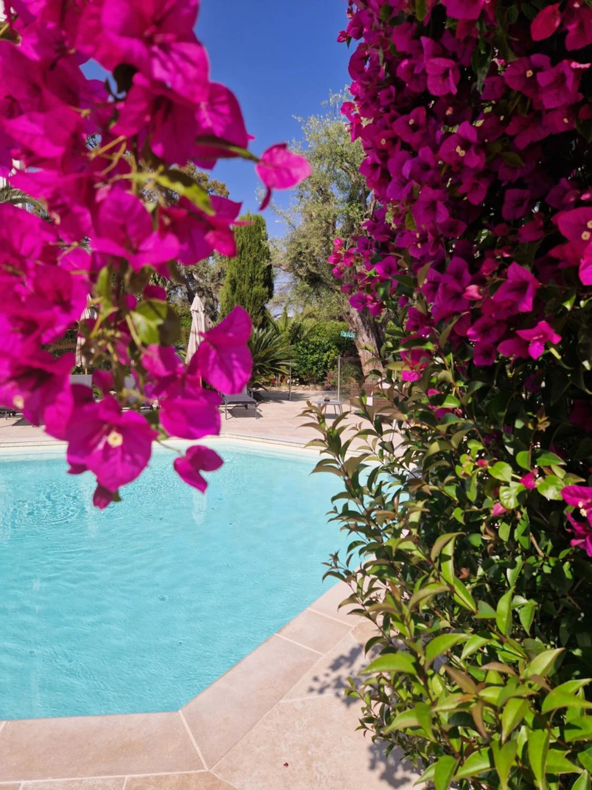 Chambre à Hôtel La Villa Cap d’Antibes - Organiser un séminaire d'entreprise à Juan-les-Pins