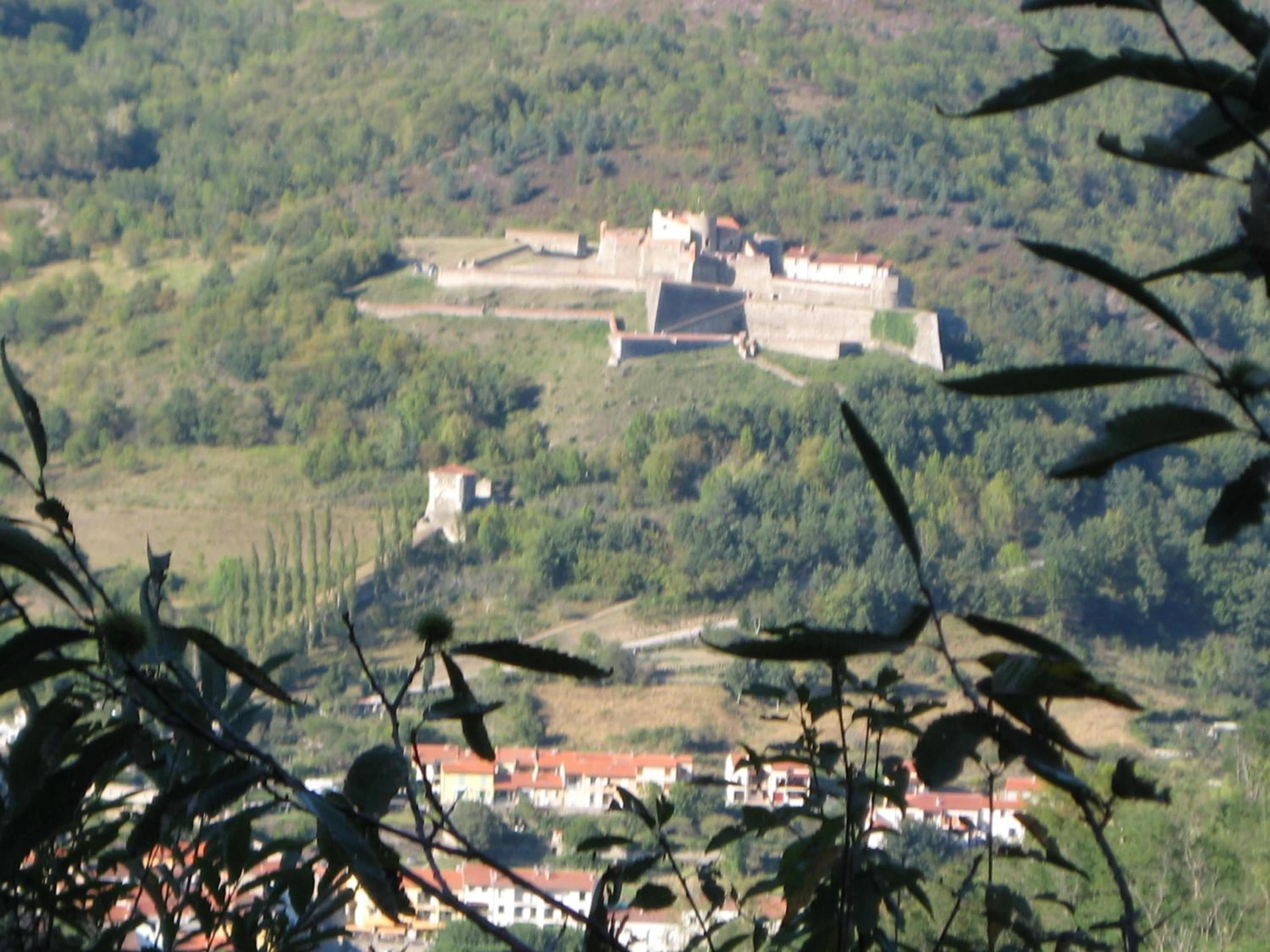 Organiser un séminaire d'entreprise : Logis Hotel Restaurant Le Bellevue à prats-de-mollo-la-preste