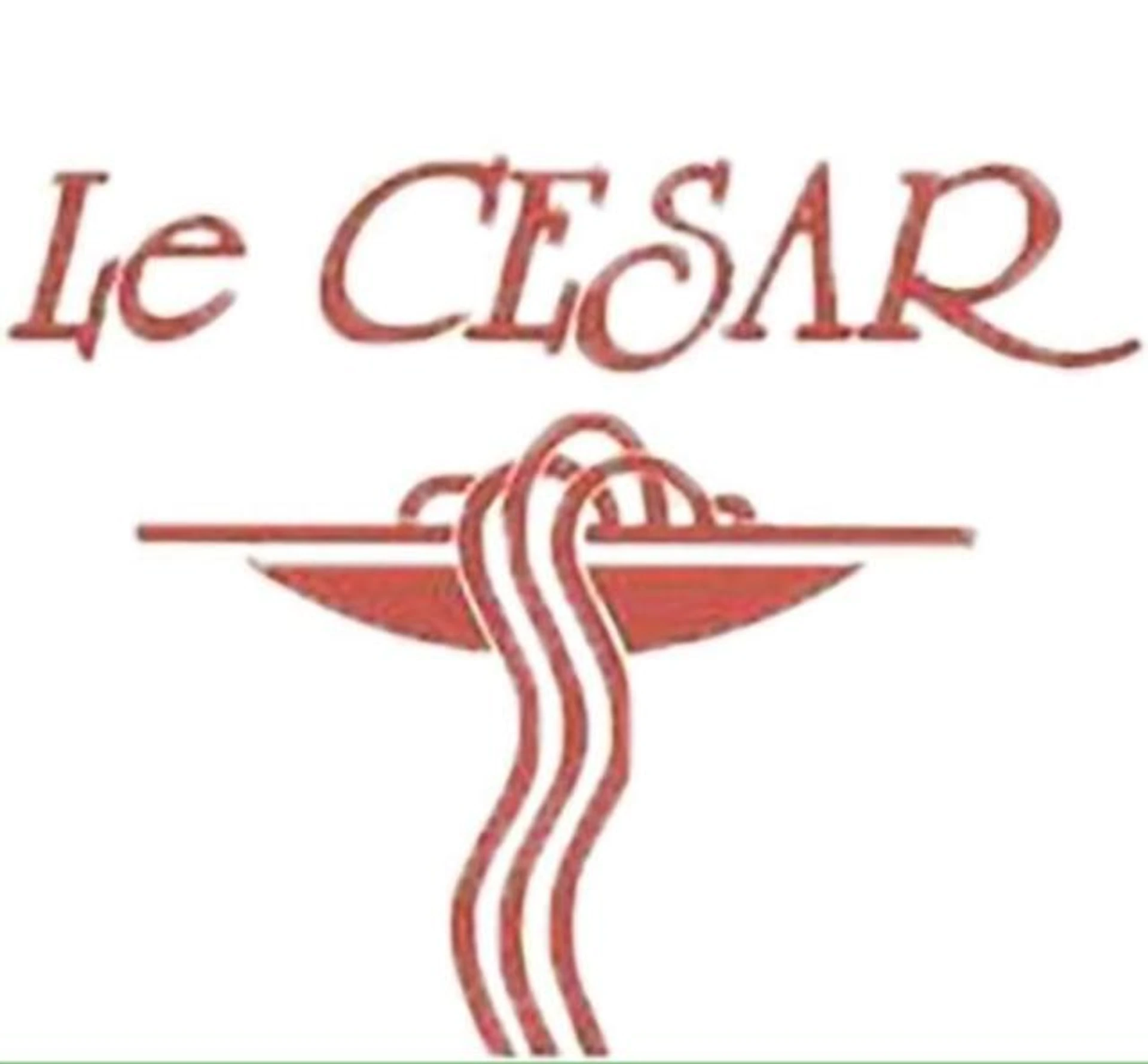 Organiser un séminaire d'entreprise : Le CESAR HOTEL à royat