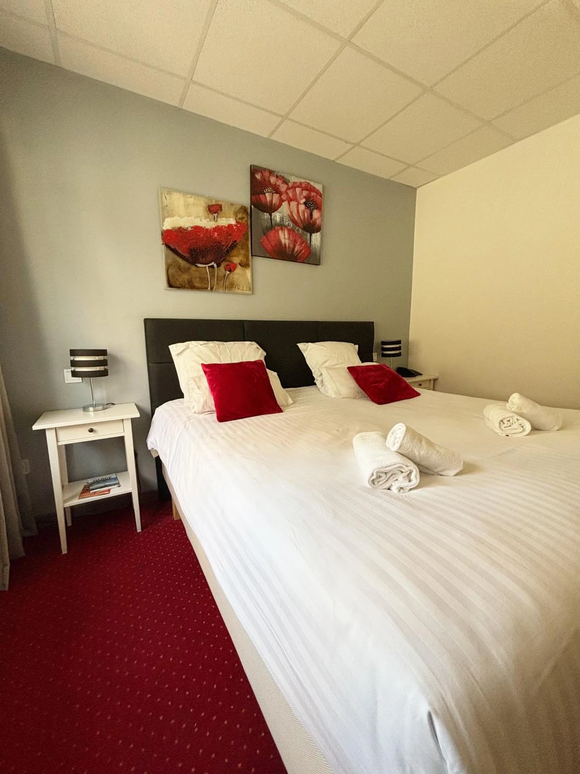Organiser un séminaire d'entreprise : Hotel Le Divona "au coeur de Divonne" à divonne-les-bains