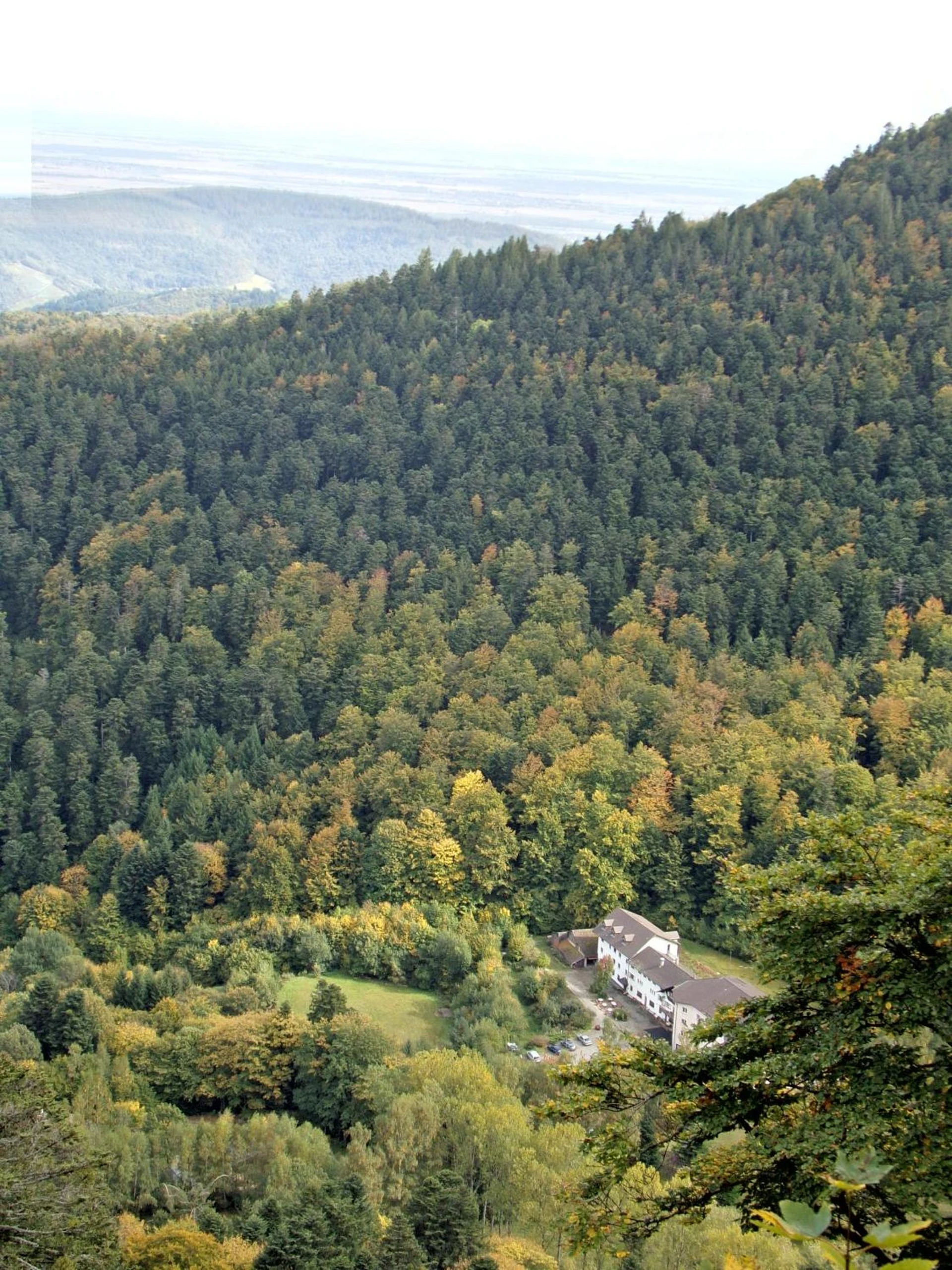 Organiser un séminaire d'entreprise : Hotel-Spa & Restaurant Logis Domaine Langmatt à murbach