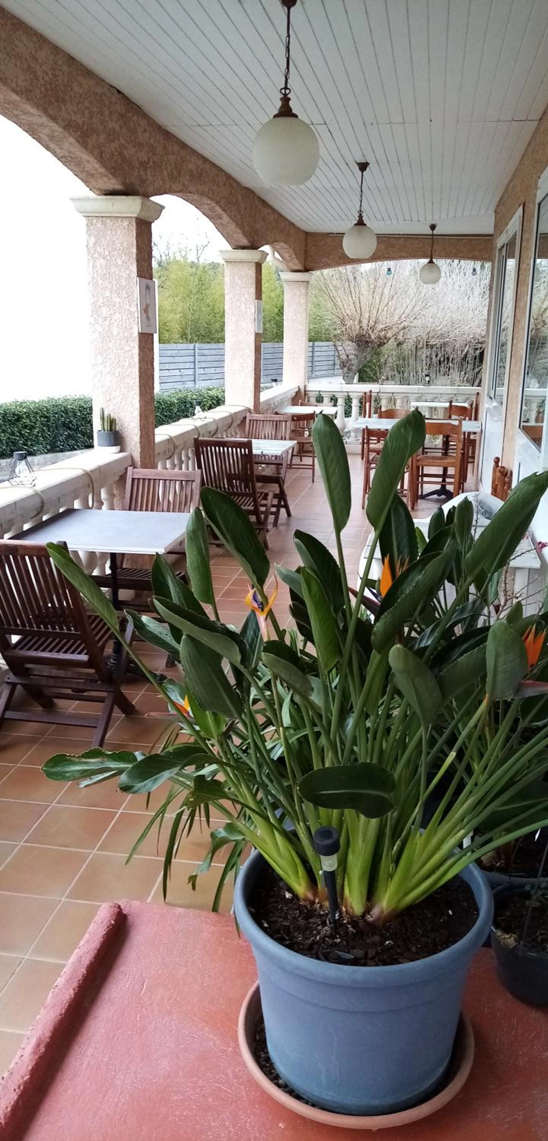 Organiser un séminaire d'entreprise : Le Grand Jardin à aujargues