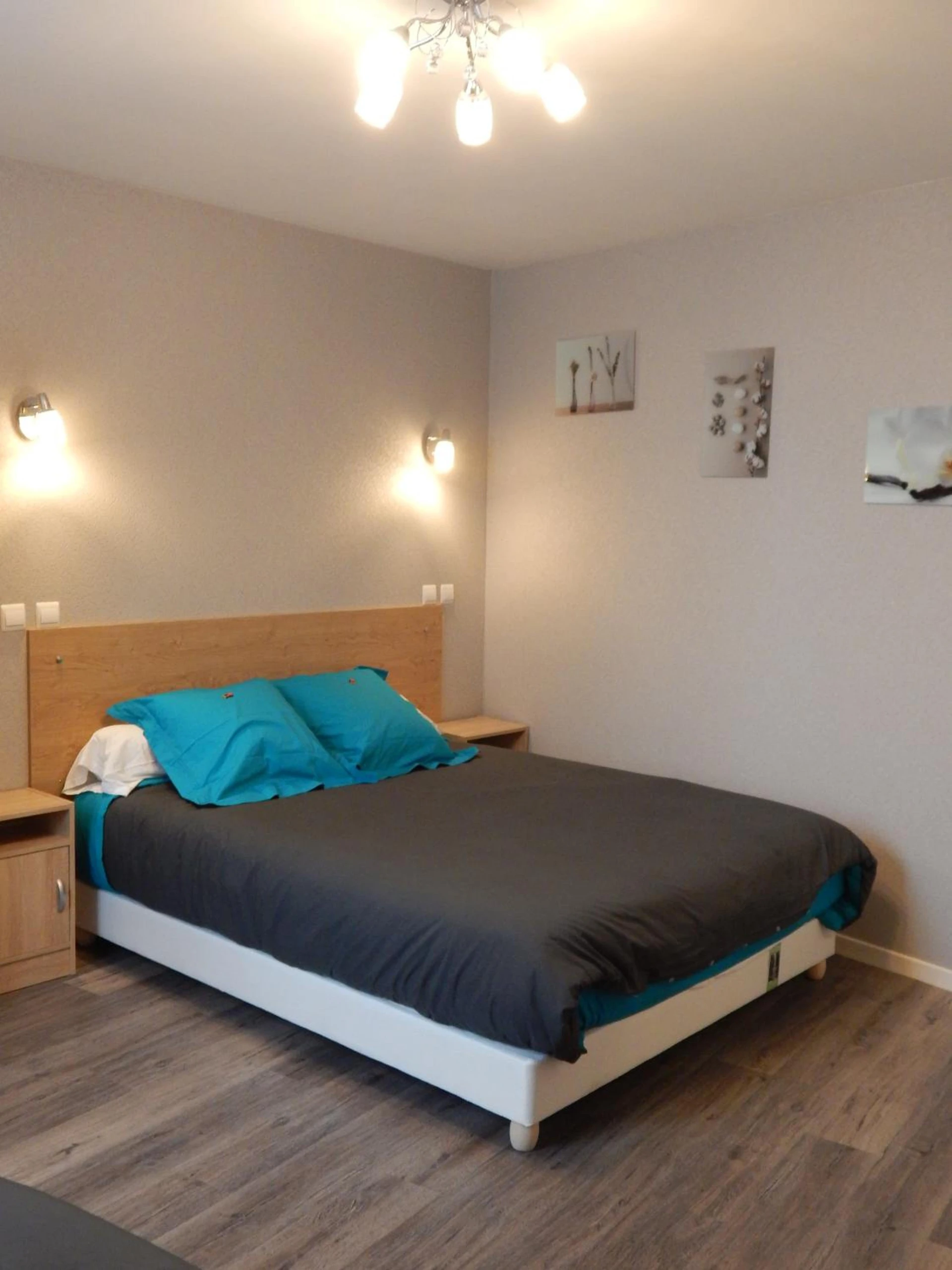 Magnifique chambre pour un séminaire d'entreprise à Le Lion D'or - Ouroux en Morvan