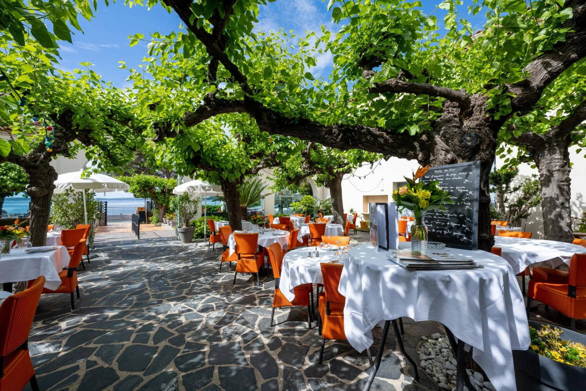 Organiser un séminaire d'entreprise : Logis Hotel Le Provencal à les-issambres
