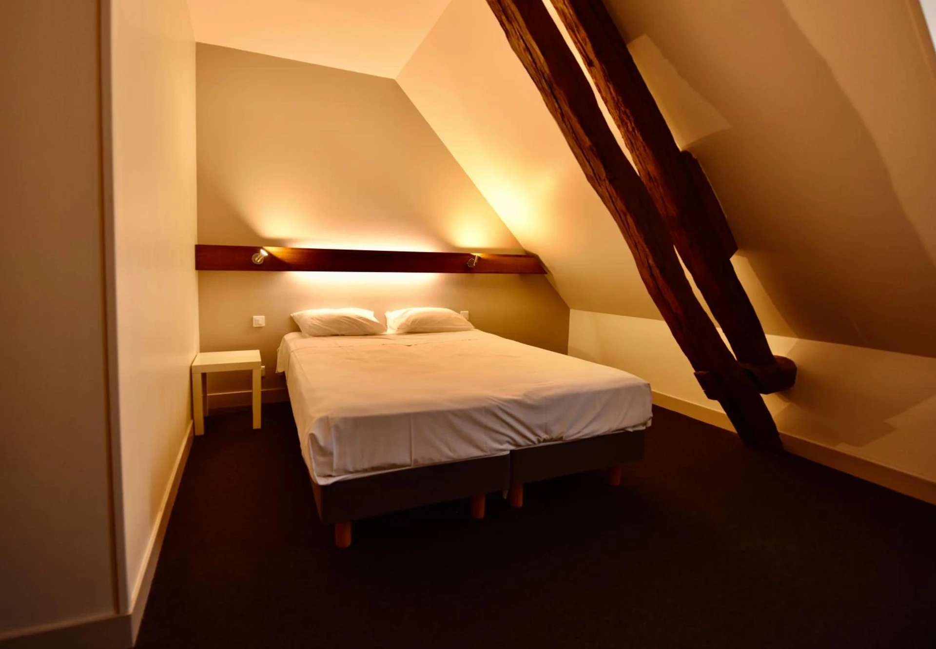 Magnifique chambre pour un séminaire d'entreprise à Le Relais du Château - Saint-Fargeau