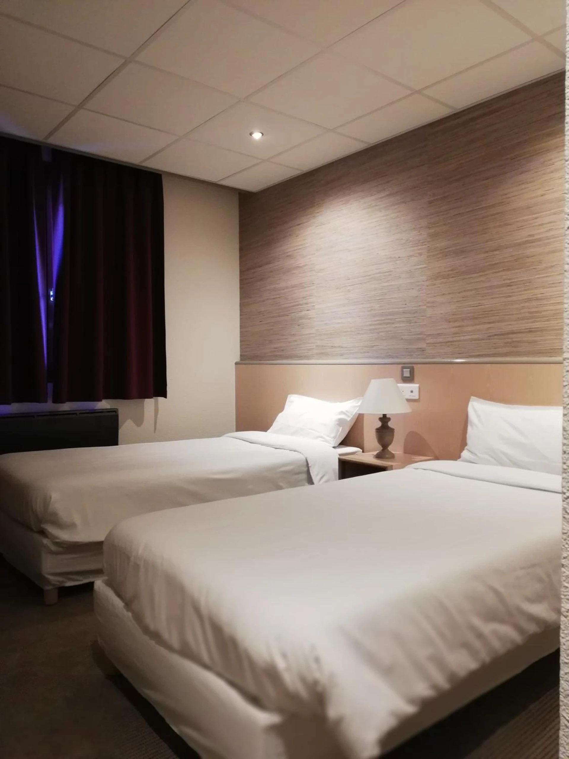 Organiser un séminaire d'entreprise : Hôtel Le Savoie à albertville