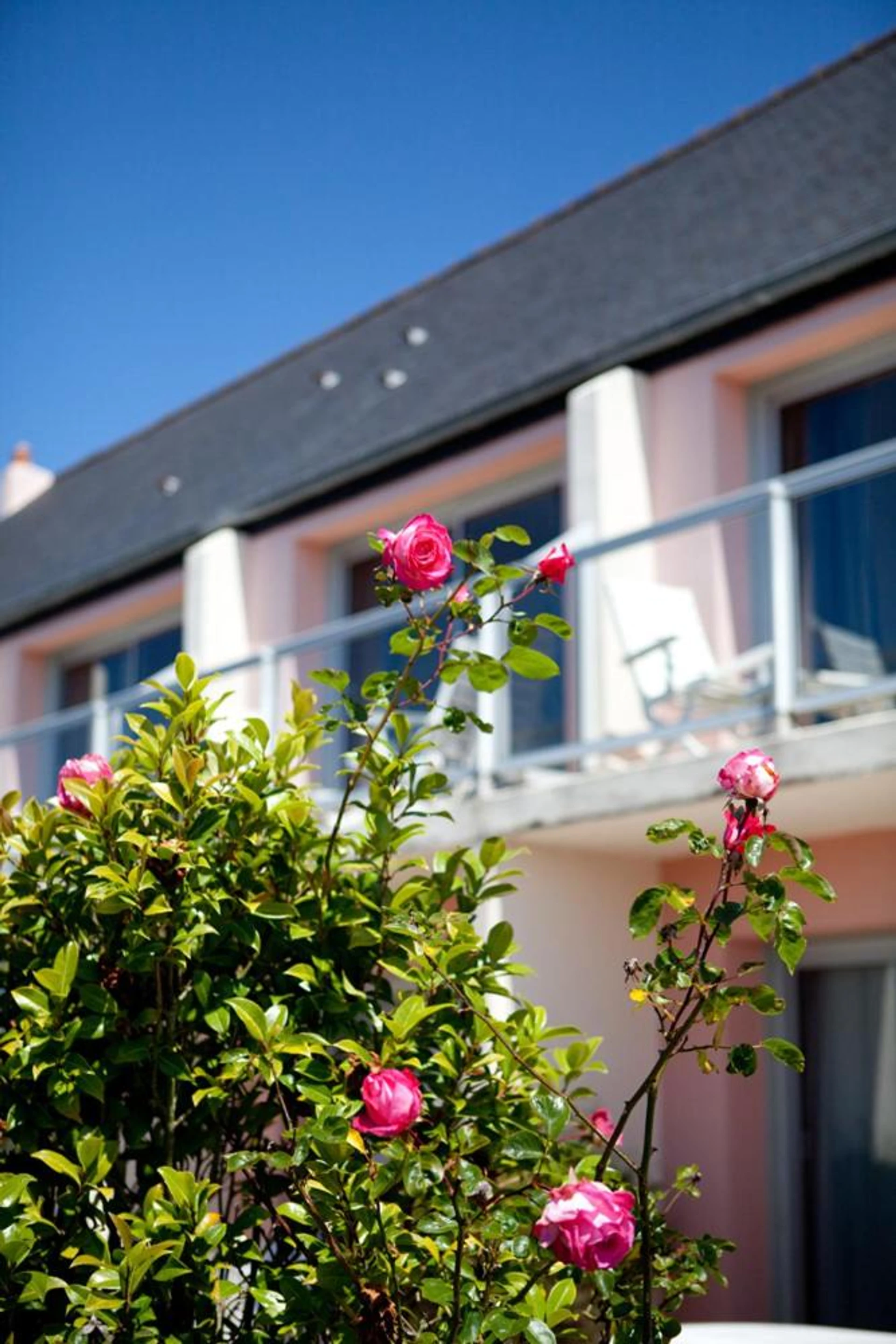 Organiser un séminaire d'entreprise : Hotel Le Toeno à trebeurden