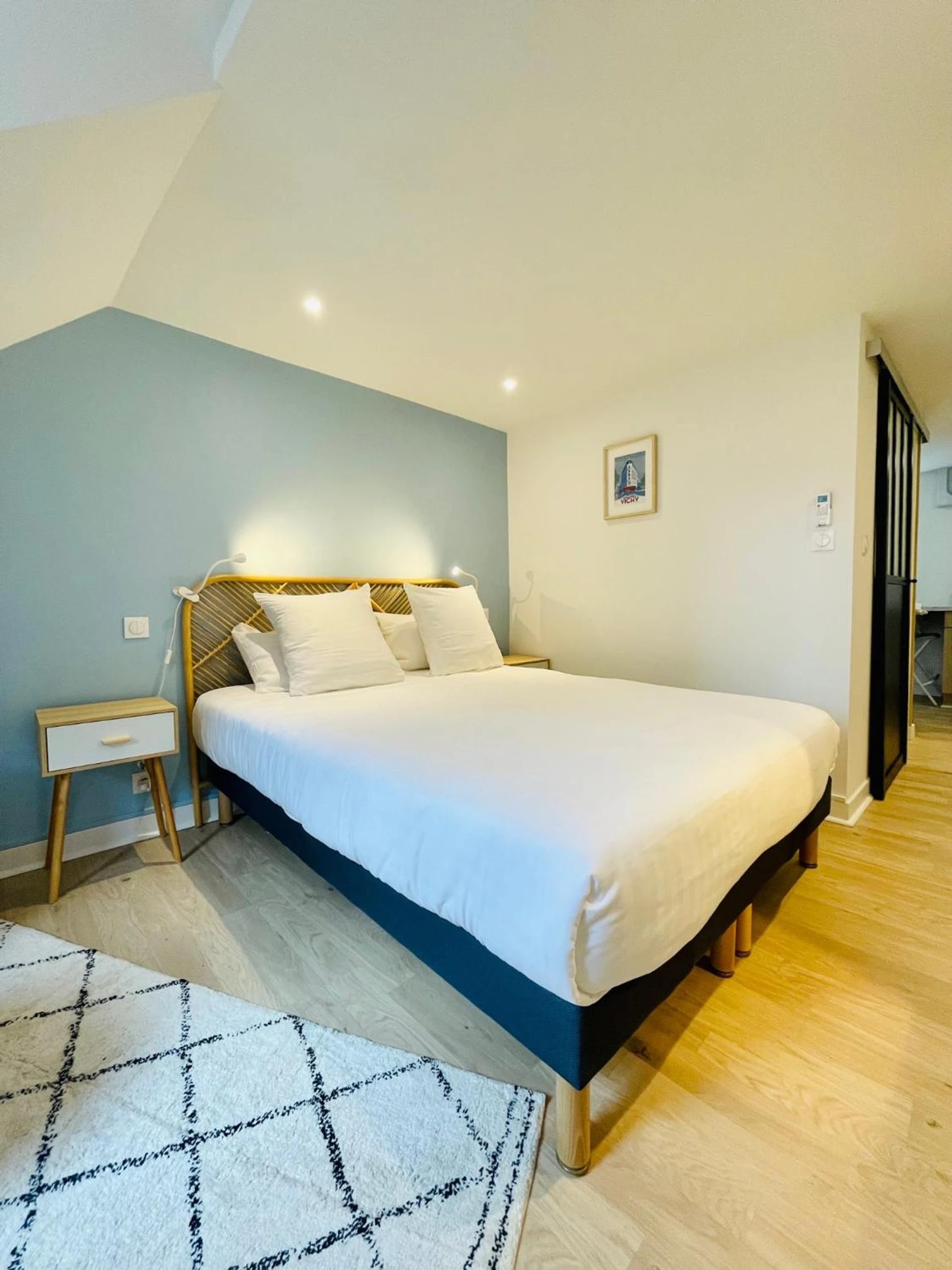 Chambre disponible pour un séminaire d'entreprise à * Villa Adélaïde * Les Célestins * - Vichy