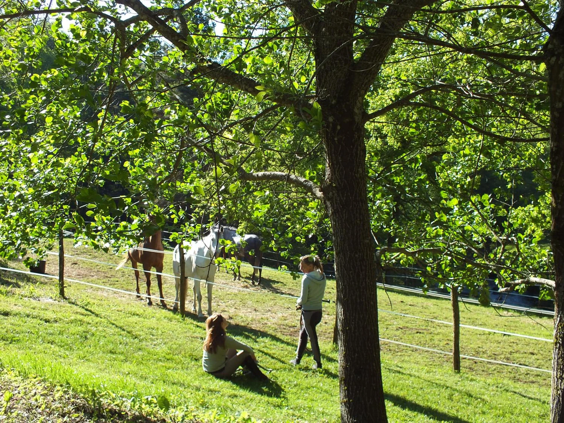 Organiser un séminaire d'entreprise : Les Grillons du Morvan à montsauche-les-settons