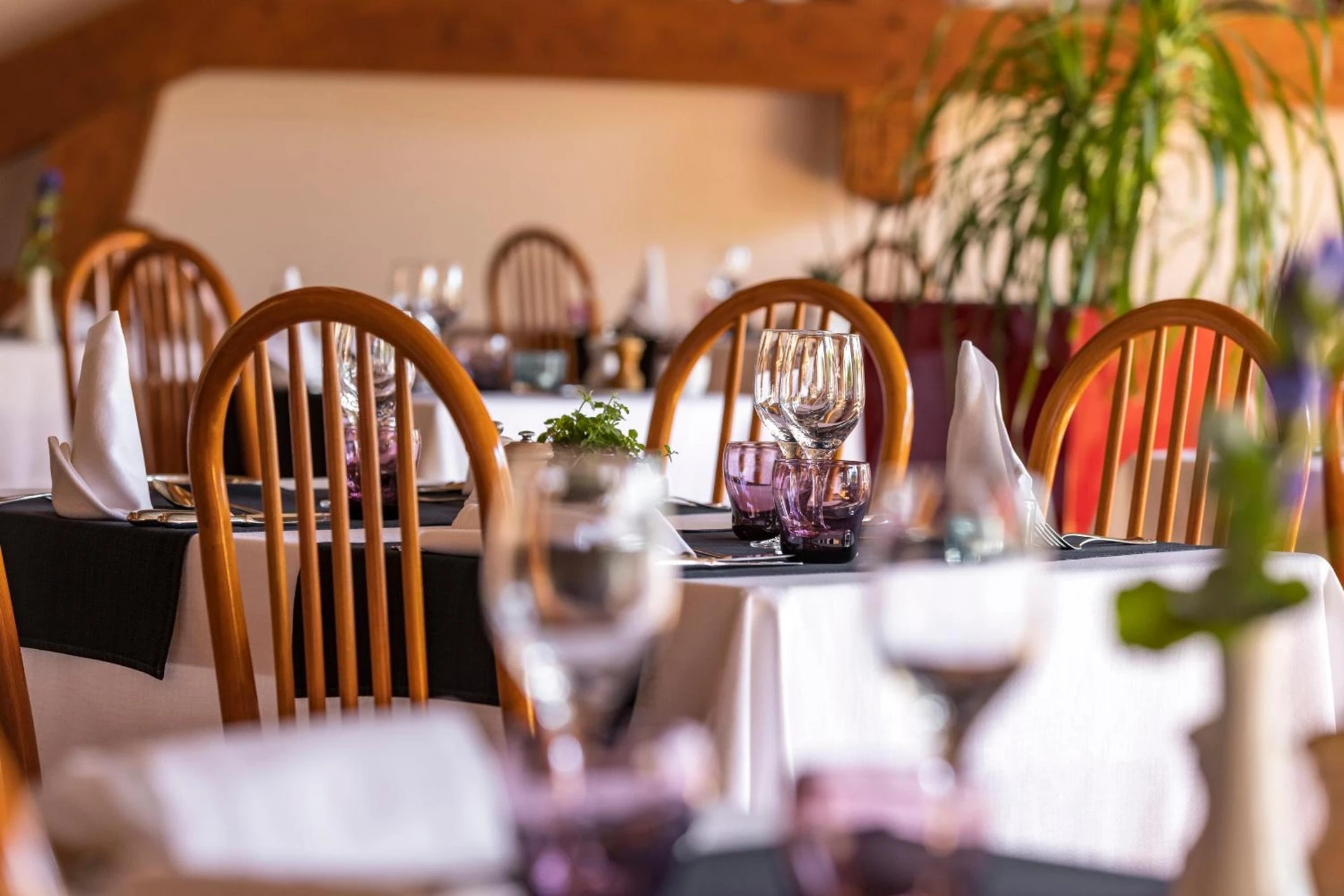 Organiser un séminaire d'entreprise : Hôtel Les Grillons à talloires