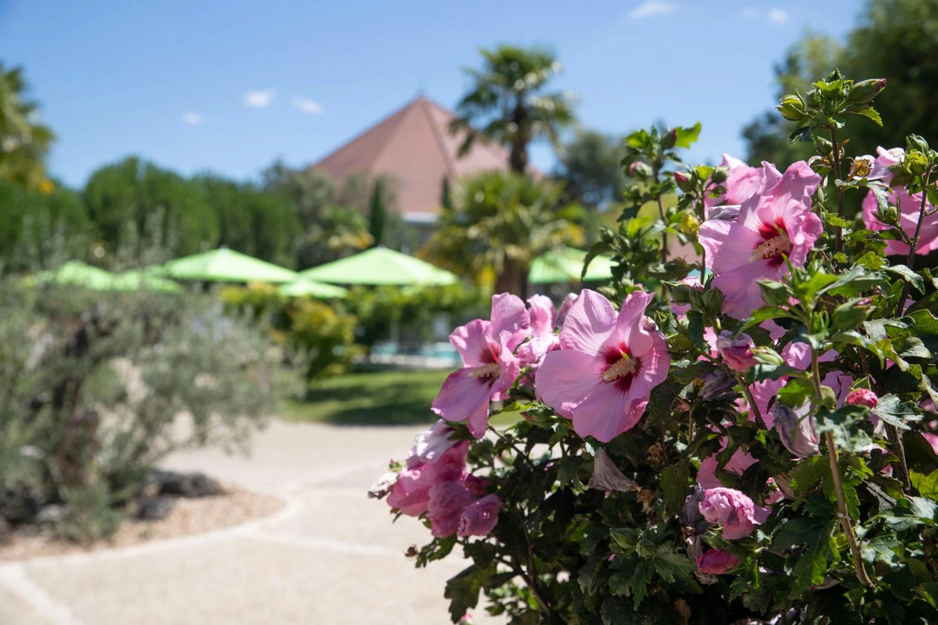 Organiser un séminaire d'entreprise : Les Jardins de Beauval à saint-aignan
