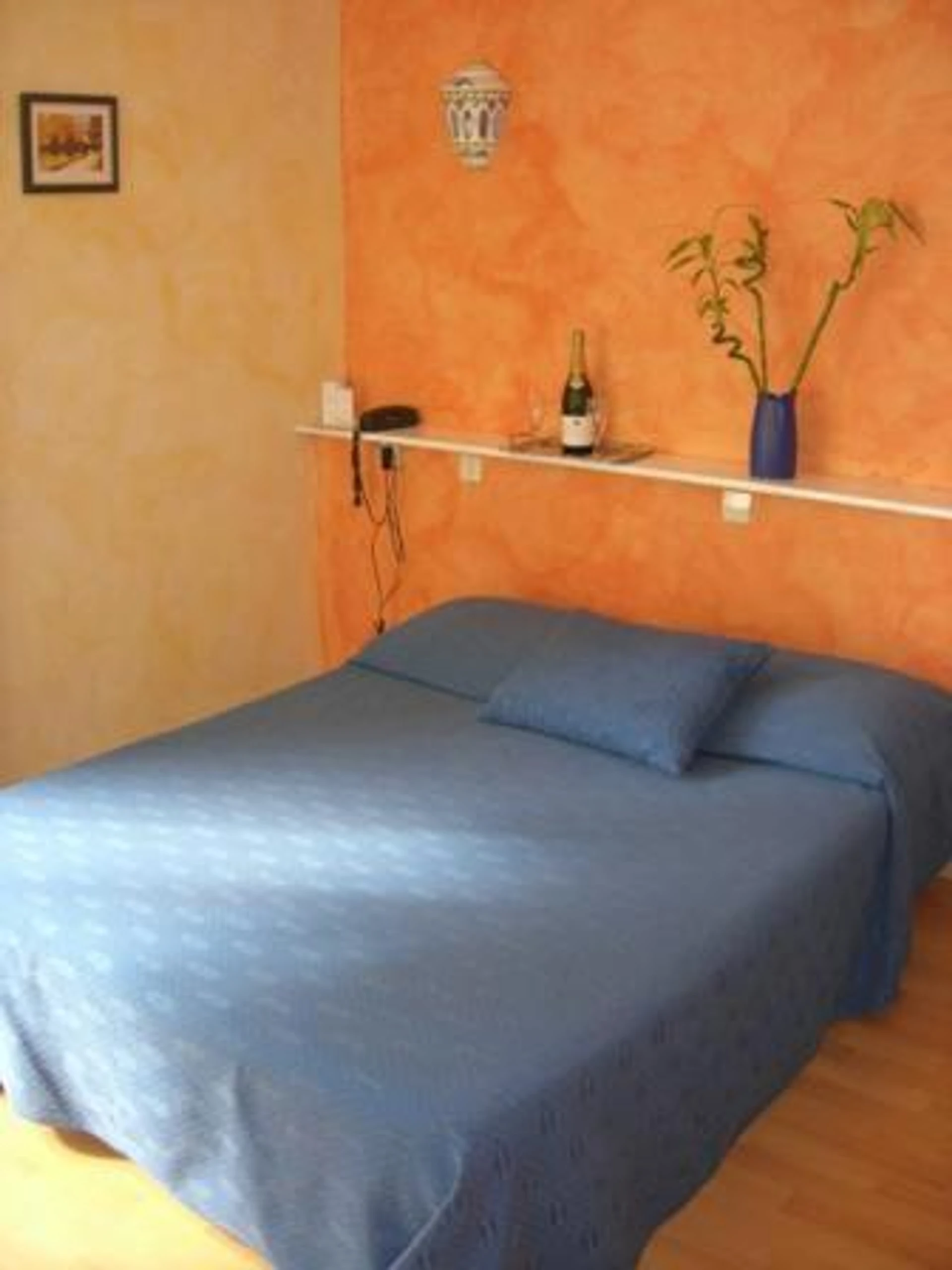 Chambre disponible pour un séminaire d'entreprise à Les Mimosas - Lunel