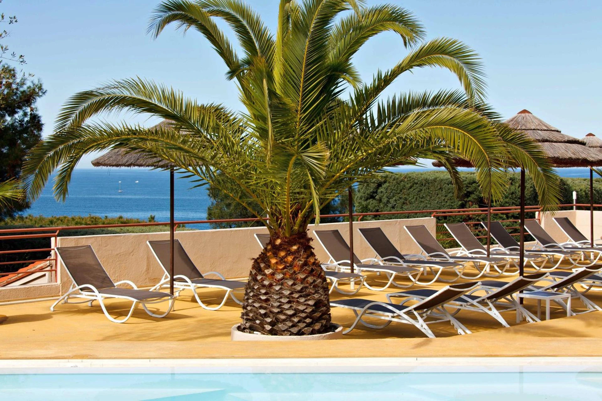 Lieu convivial pour un séminaire d'entreprise à Hôtel & Spa Les Mouettes - Argelès-sur-Mer - En savoir plus 
