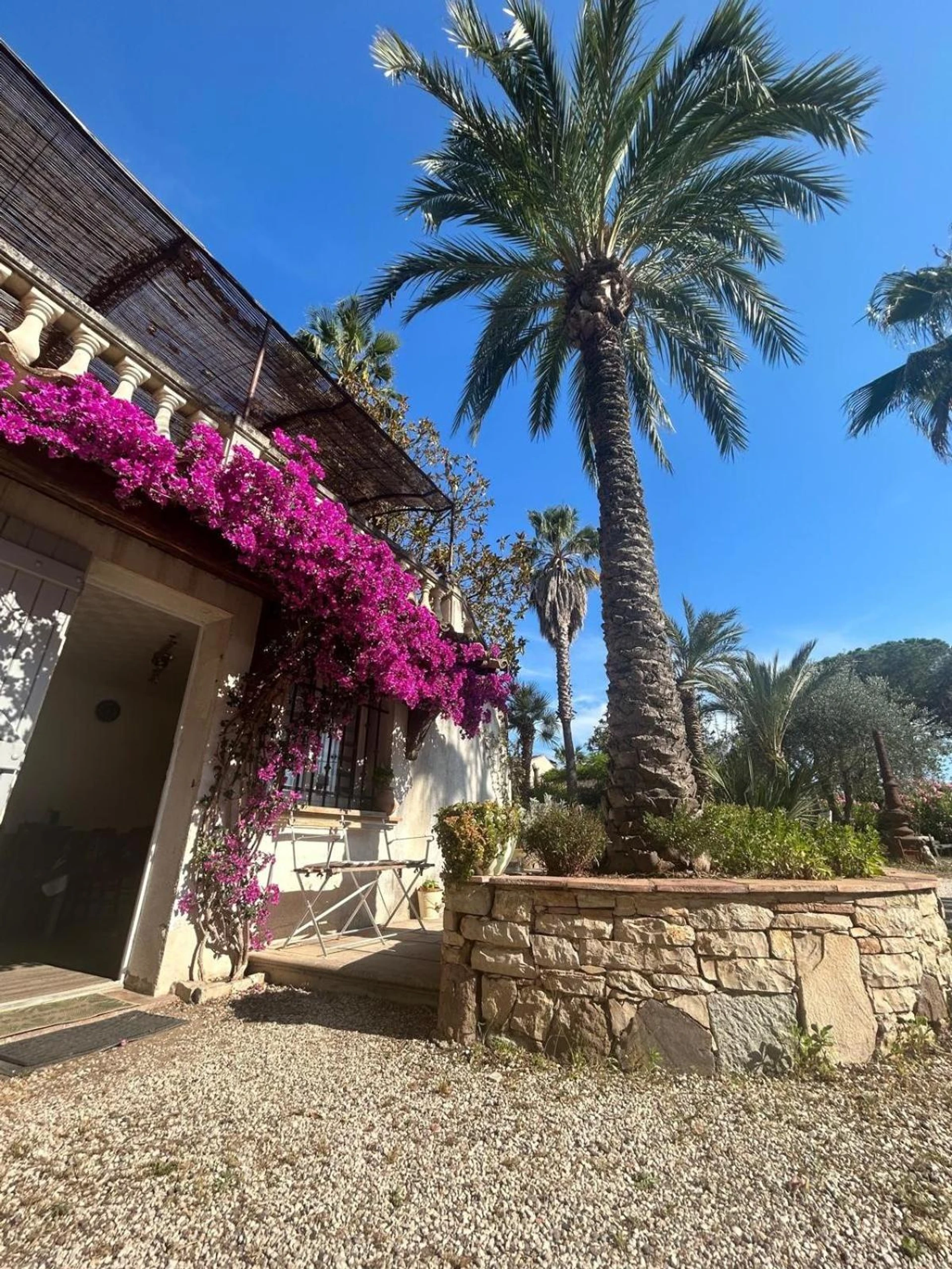 Salle de séminaire à Les palmiers - Organiser un événement professionnel à Fréjus