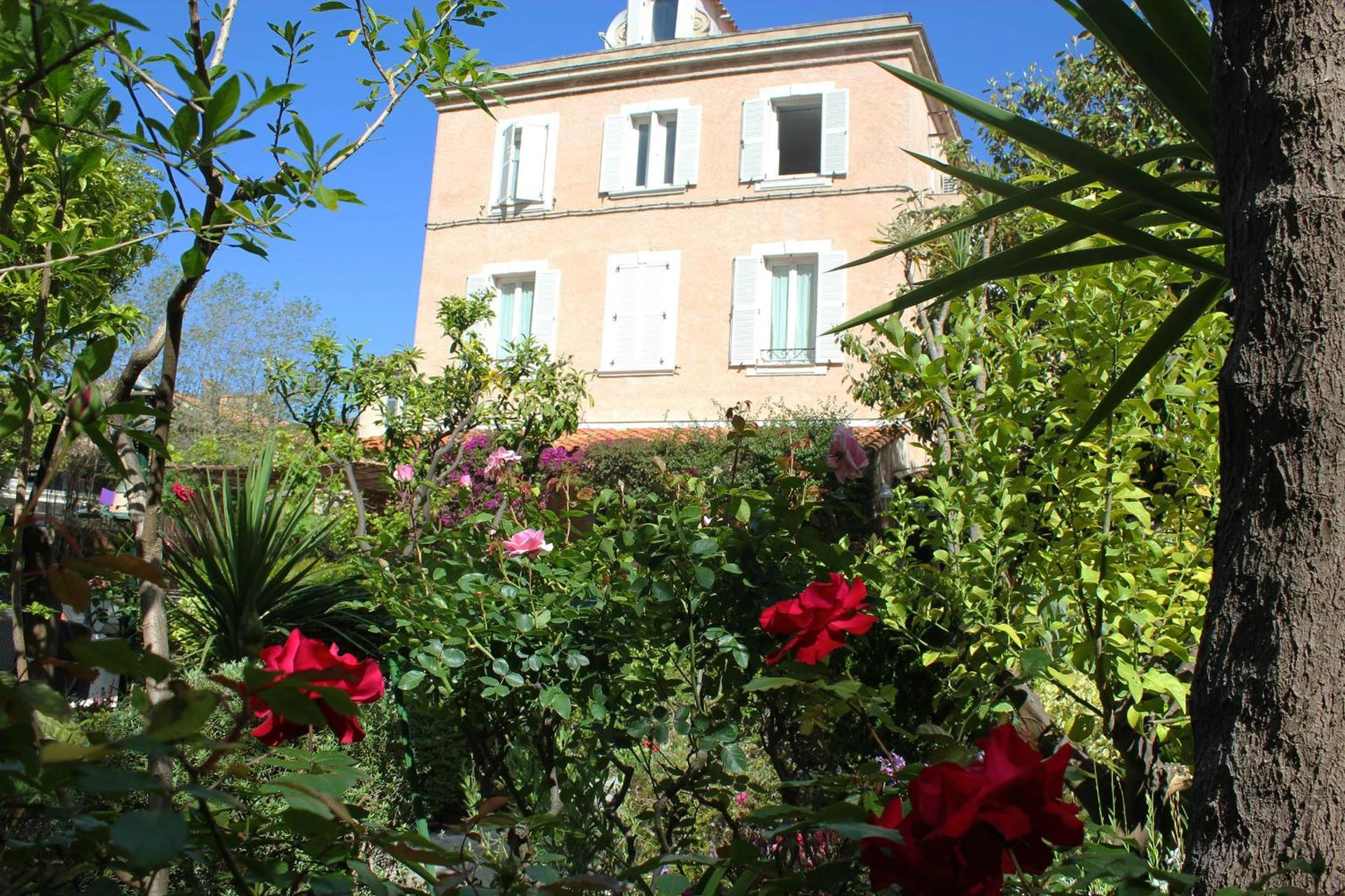 Salle de séminaire à Hôtel Les Palmiers - Organiser un événement professionnel à Saint-Tropez