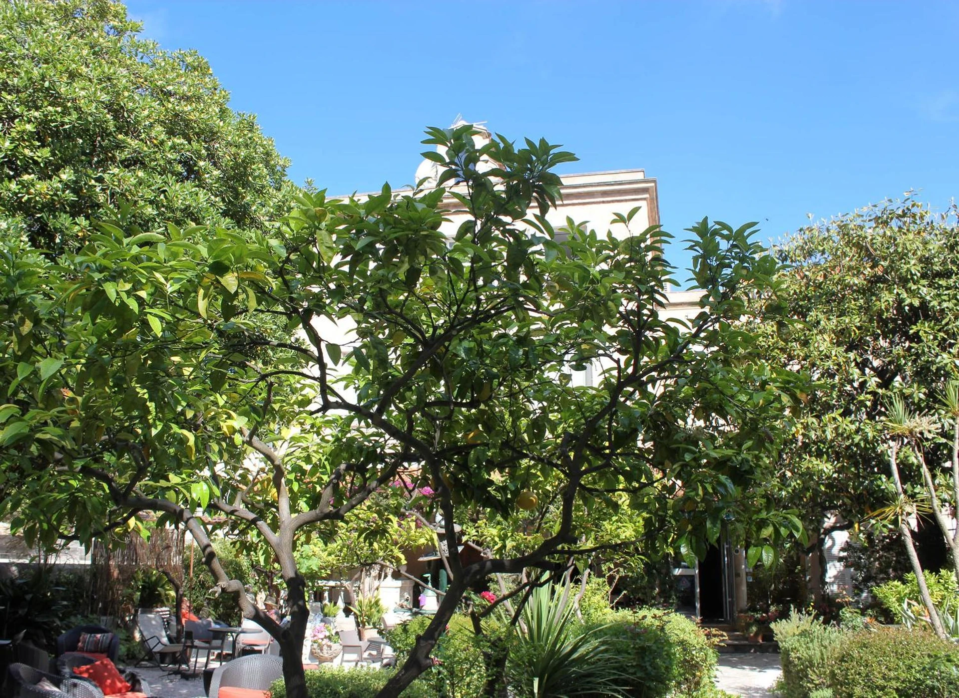 Lieu convivial pour un séminaire d'entreprise à Hôtel Les Palmiers - Saint-Tropez - En savoir plus 