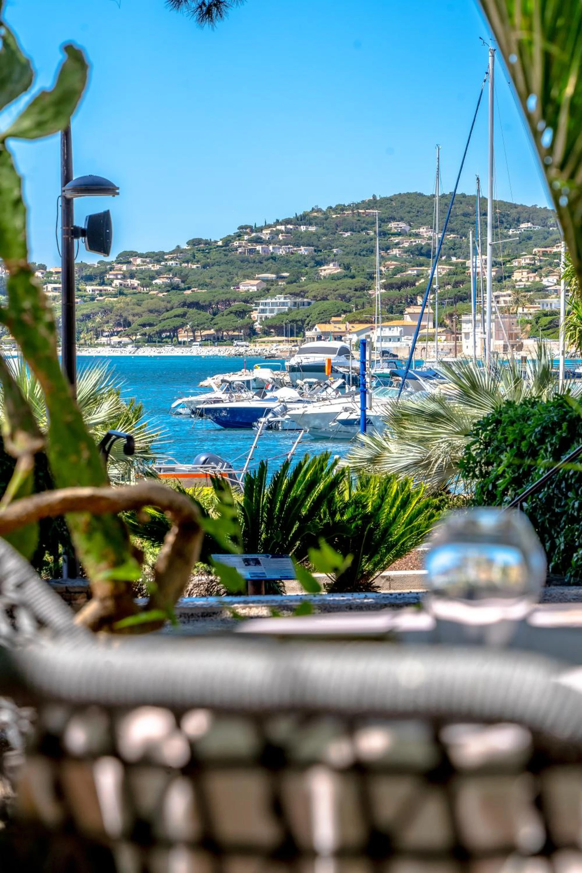 Organiser un séminaire d'entreprise : Hotel Les Palmiers à sainte-maxime