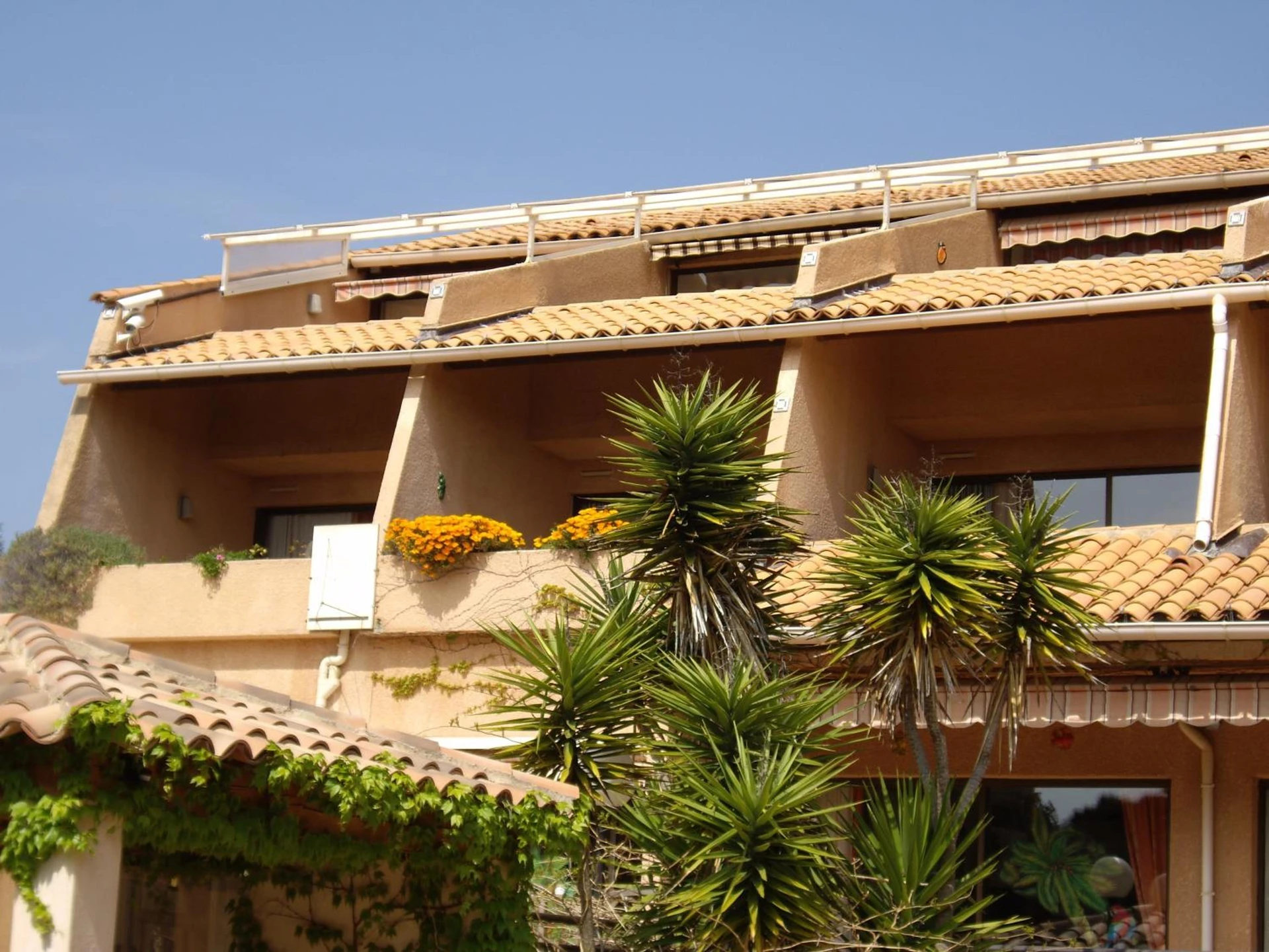 Organiser un séminaire d'entreprise : Hôtel Les Palmiers à bormes-les-mimosas