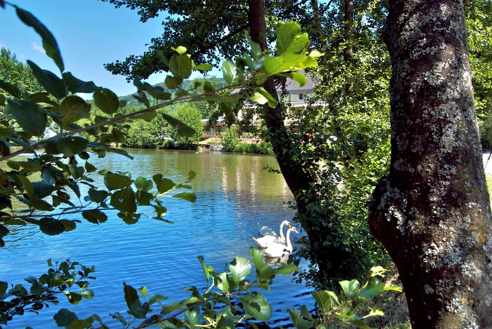 Organiser un séminaire d'entreprise : Hôtel Les Rives à guebwiller