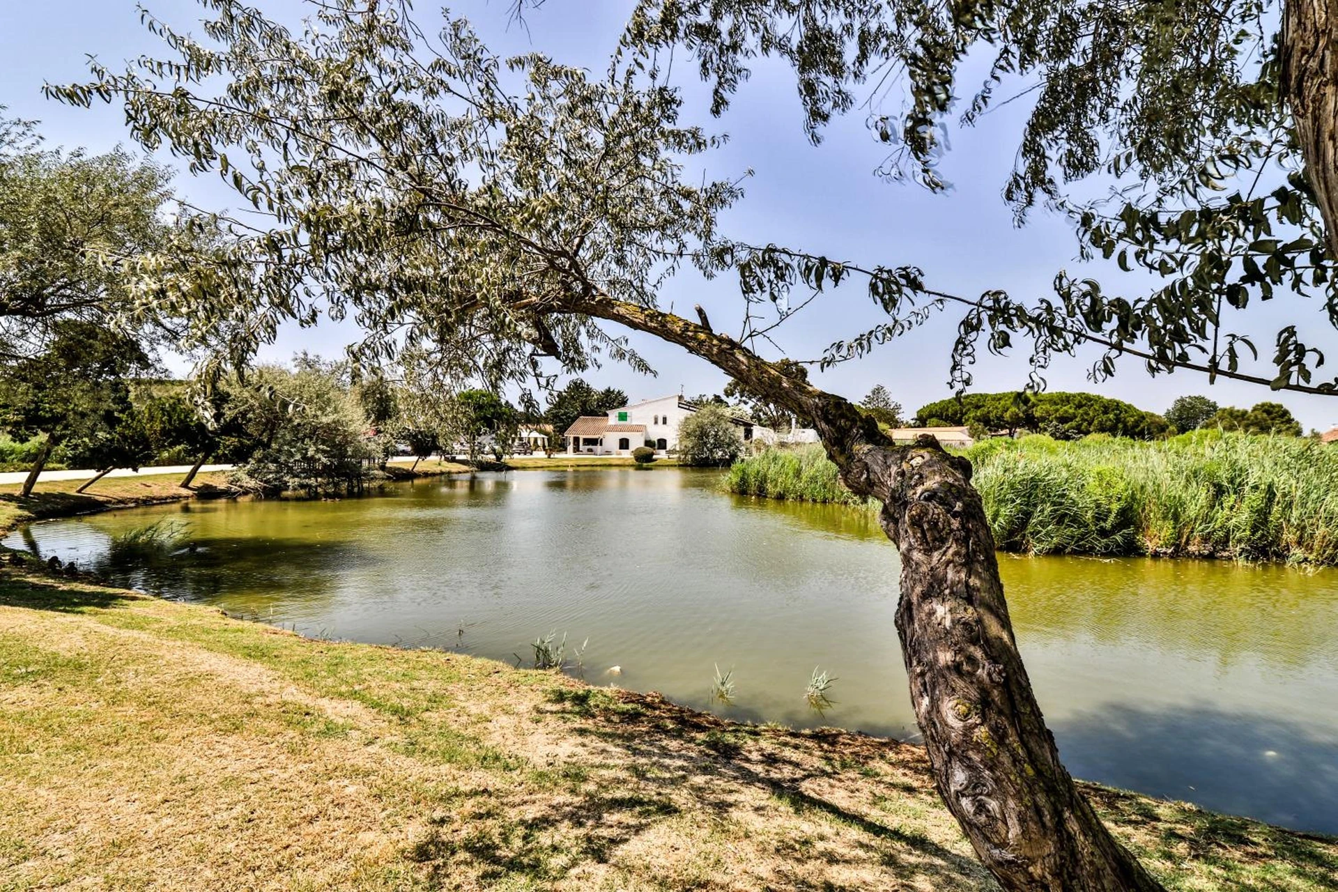 Salle de séminaire à Les Rizières - Organiser un événement professionnel à Les Saintes-Maries-de-la-Mer