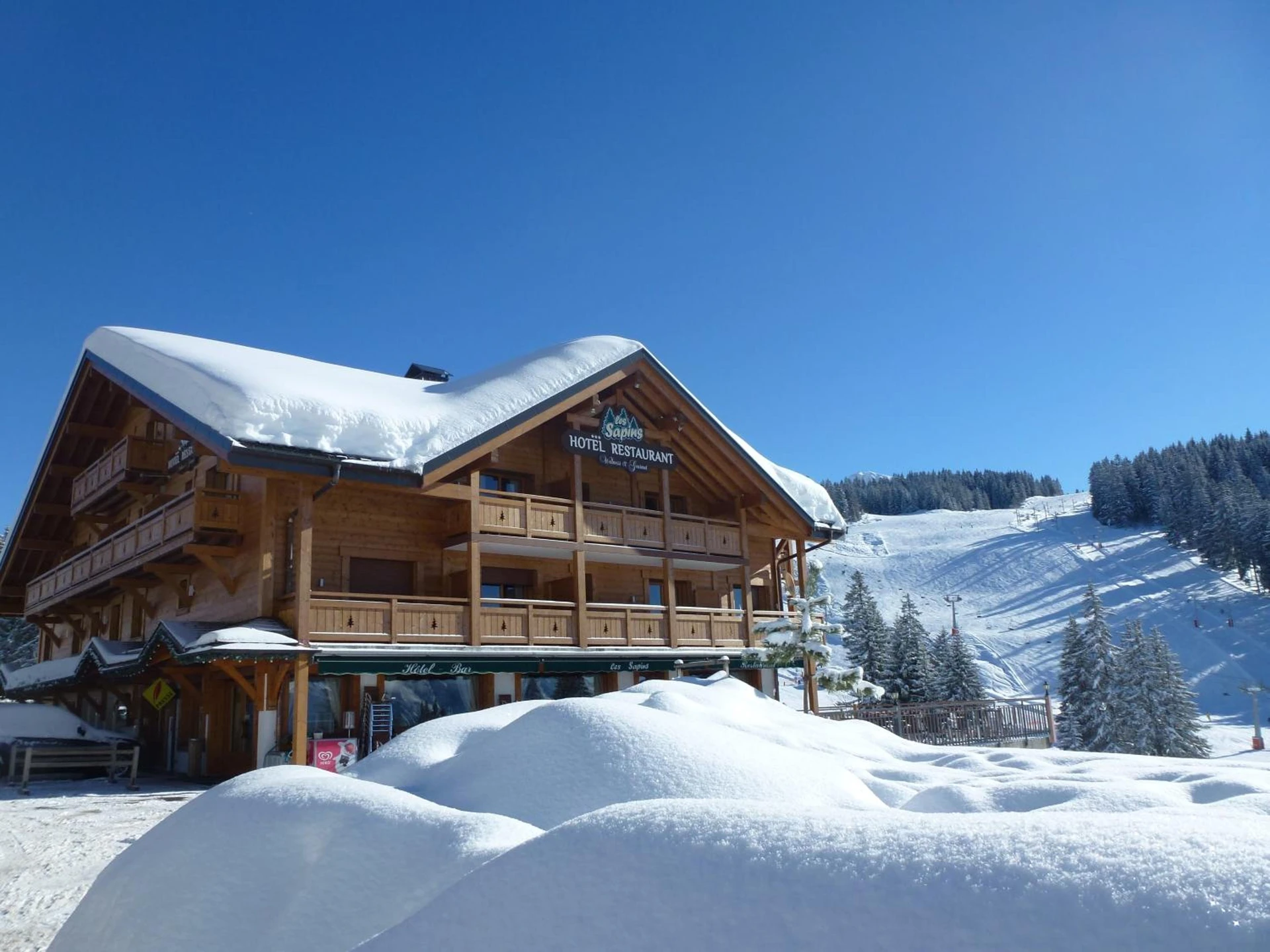 Organiser un séminaire d'entreprise : Hôtel Restaurant "Les Sapins" Wellness & Gourmet à manigod