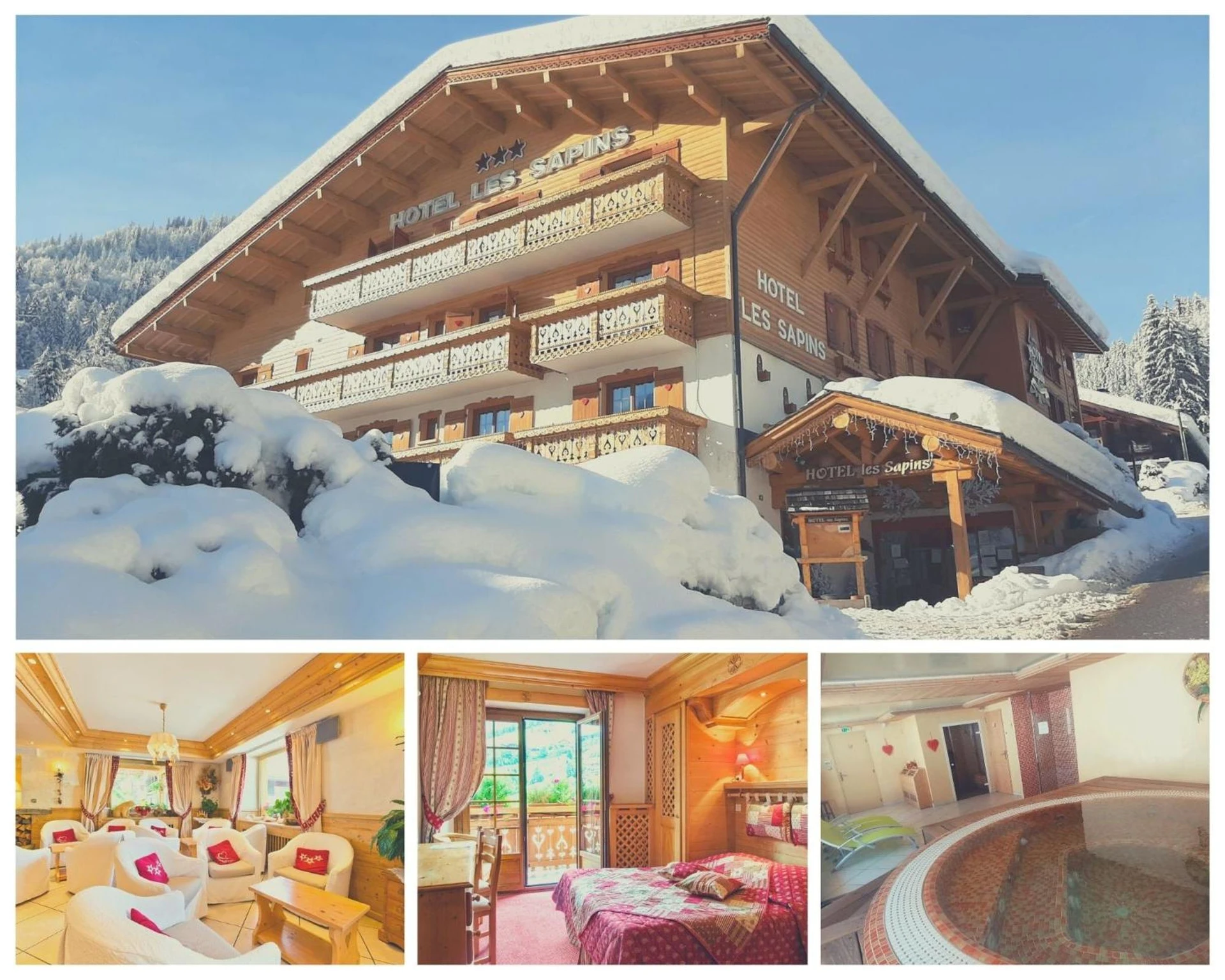 Espaces de team building à Hotel les Sapins - Organiser un séminaire d'entreprise à La Clusaz
