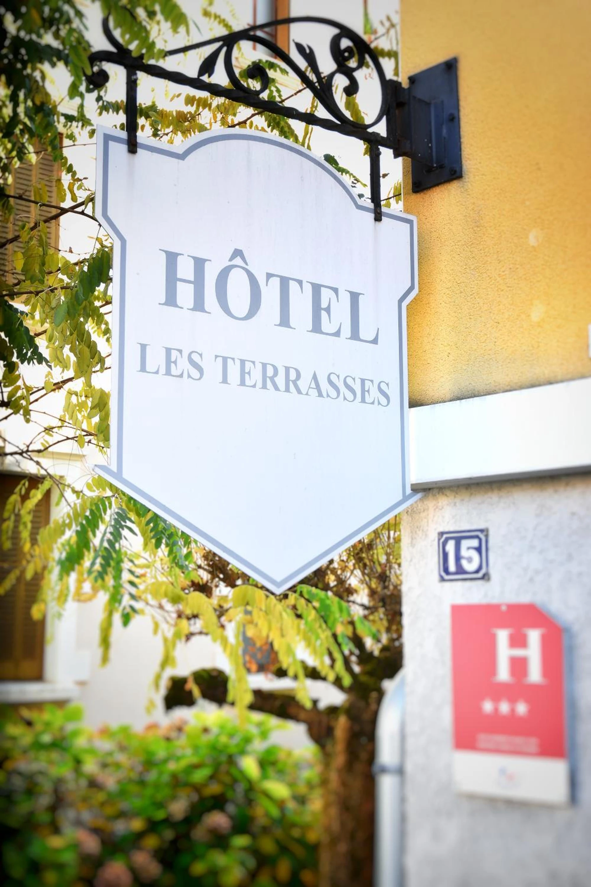Salle de séminaire à Hotel Les Terrasses - Organiser un événement professionnel à Annecy