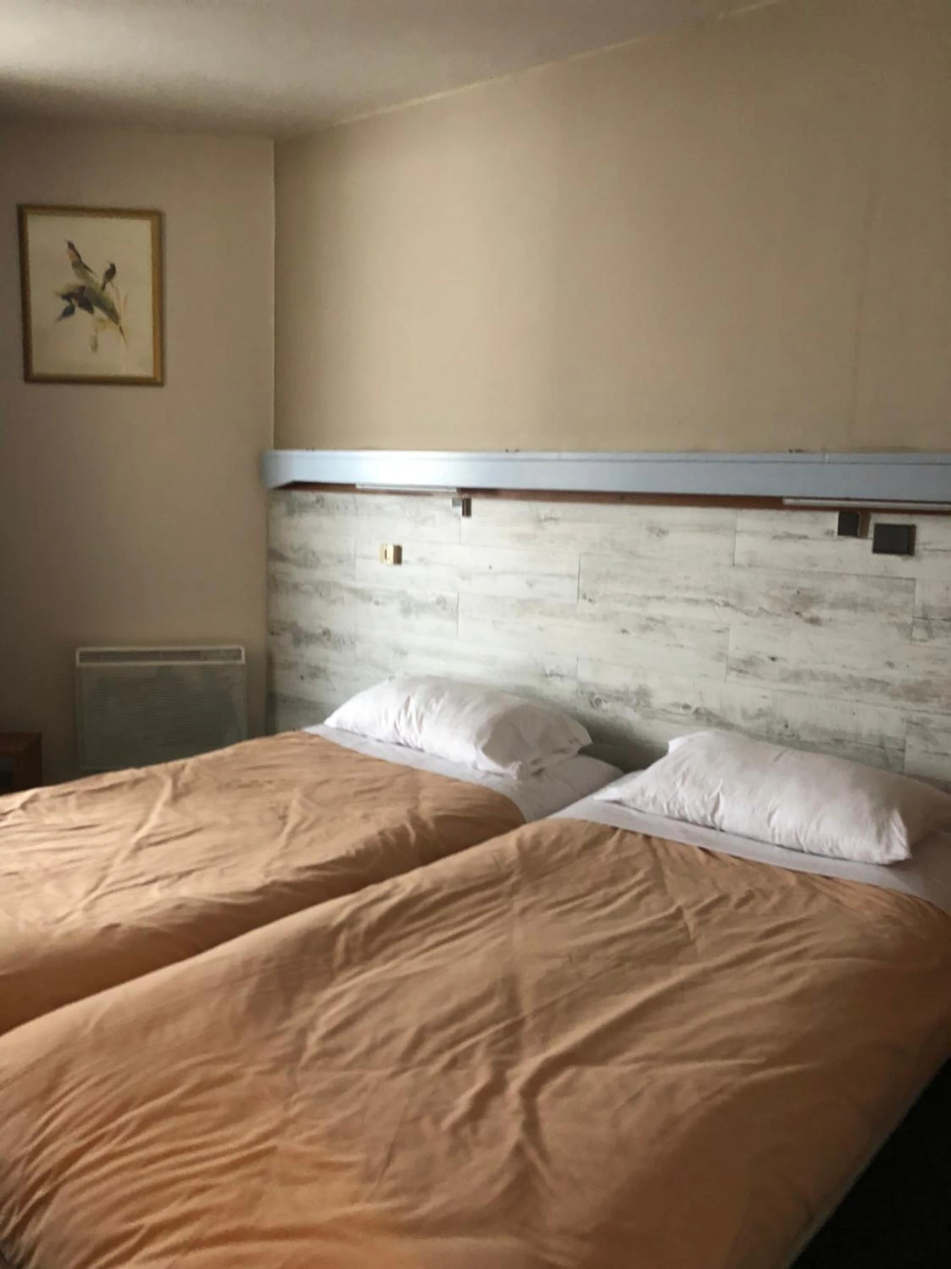 Magnifique chambre pour un séminaire d'entreprise à Hôtel Les Trappeurs - Les Orres