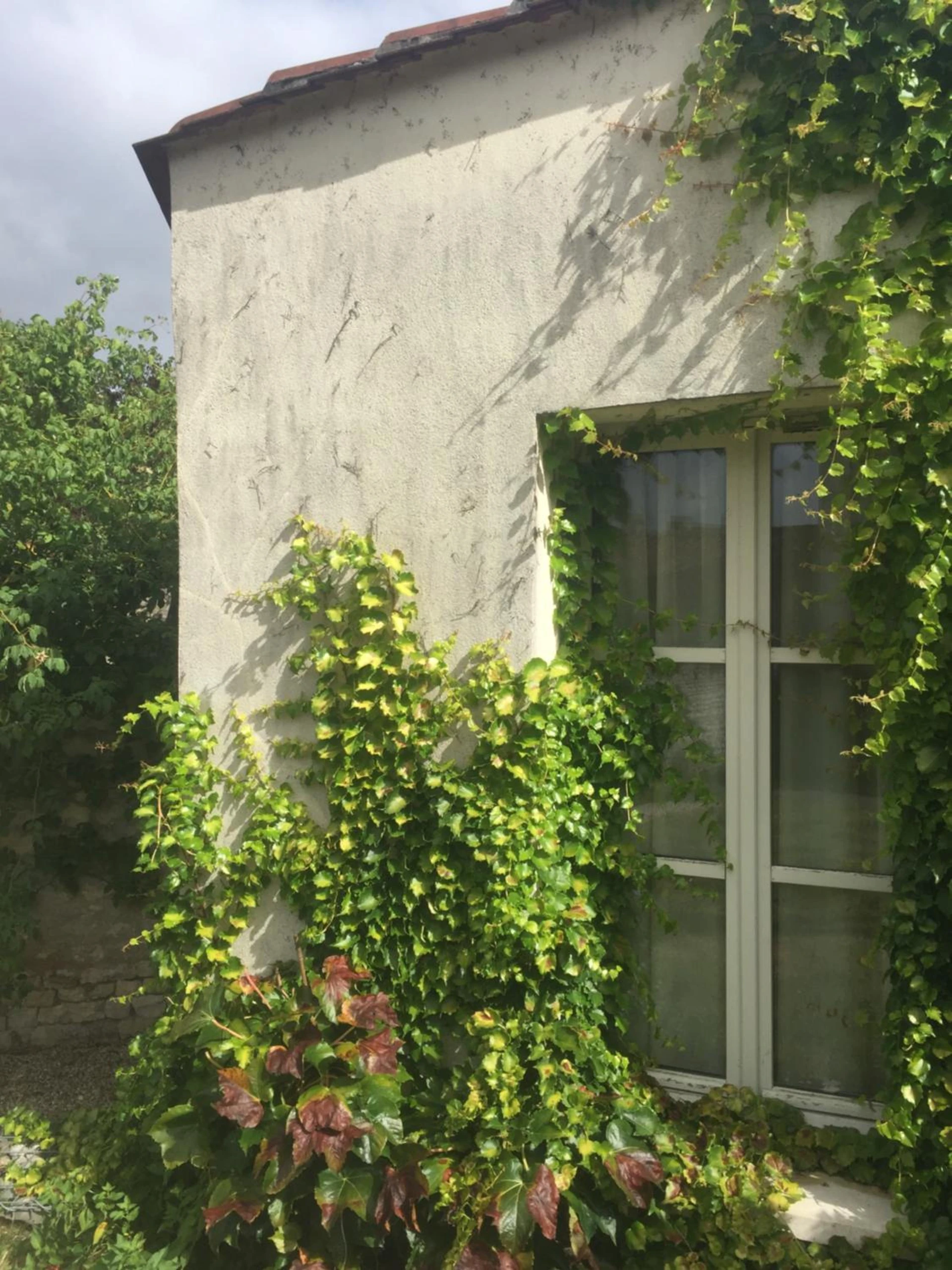 Organiser un séminaire d'entreprise : Hôtel Ligaro à jarnac