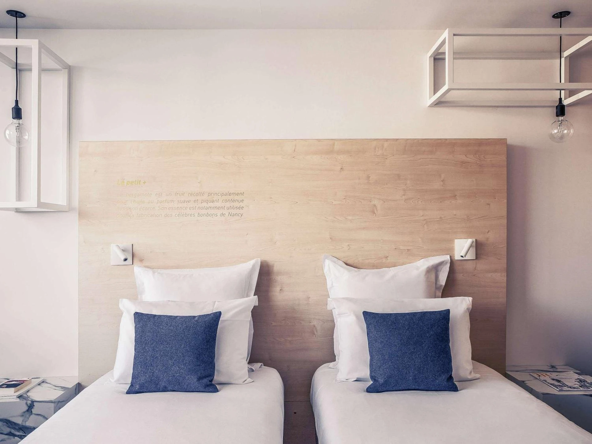 Magnifique chambre pour un séminaire d'entreprise à Mercure Nancy Centre Gare - Nancy