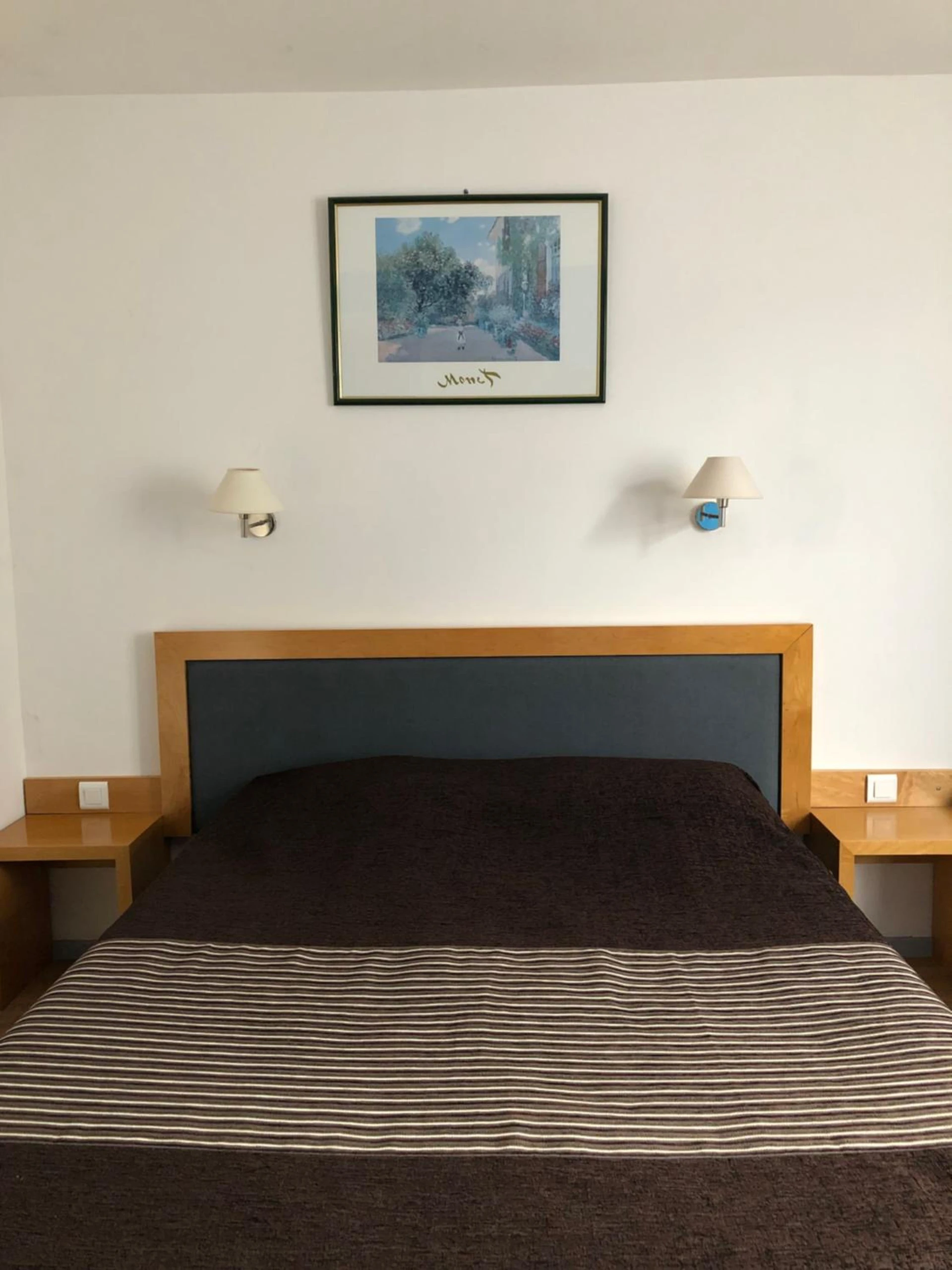 Chambre disponible pour un séminaire d'entreprise à Hôtel Au Petit Languedoc - Lourdes
