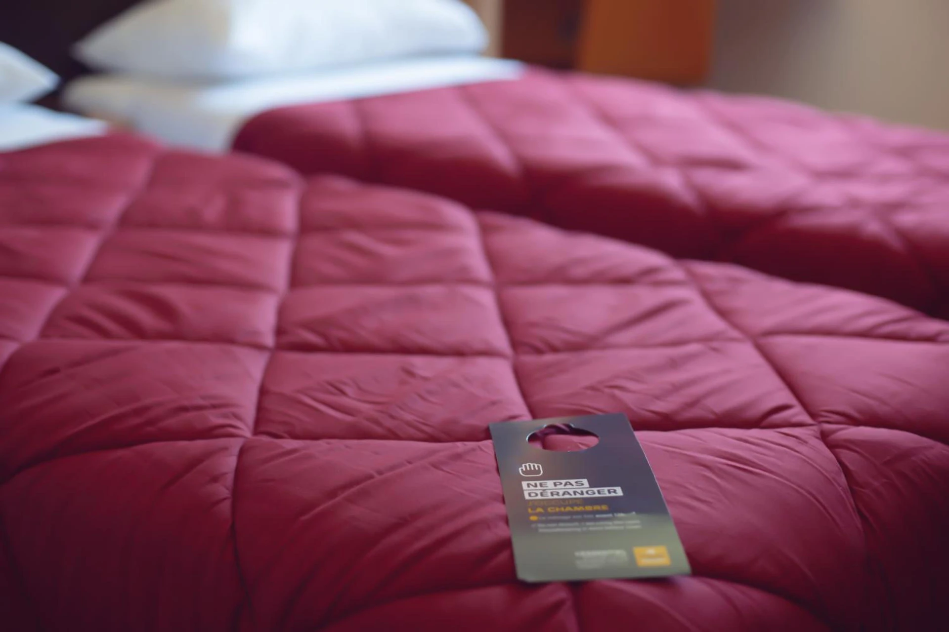 Chambre disponible pour un séminaire d'entreprise à Premiere Classe Roissy Aéroport Charles De Gaulle - Roissy-en-France